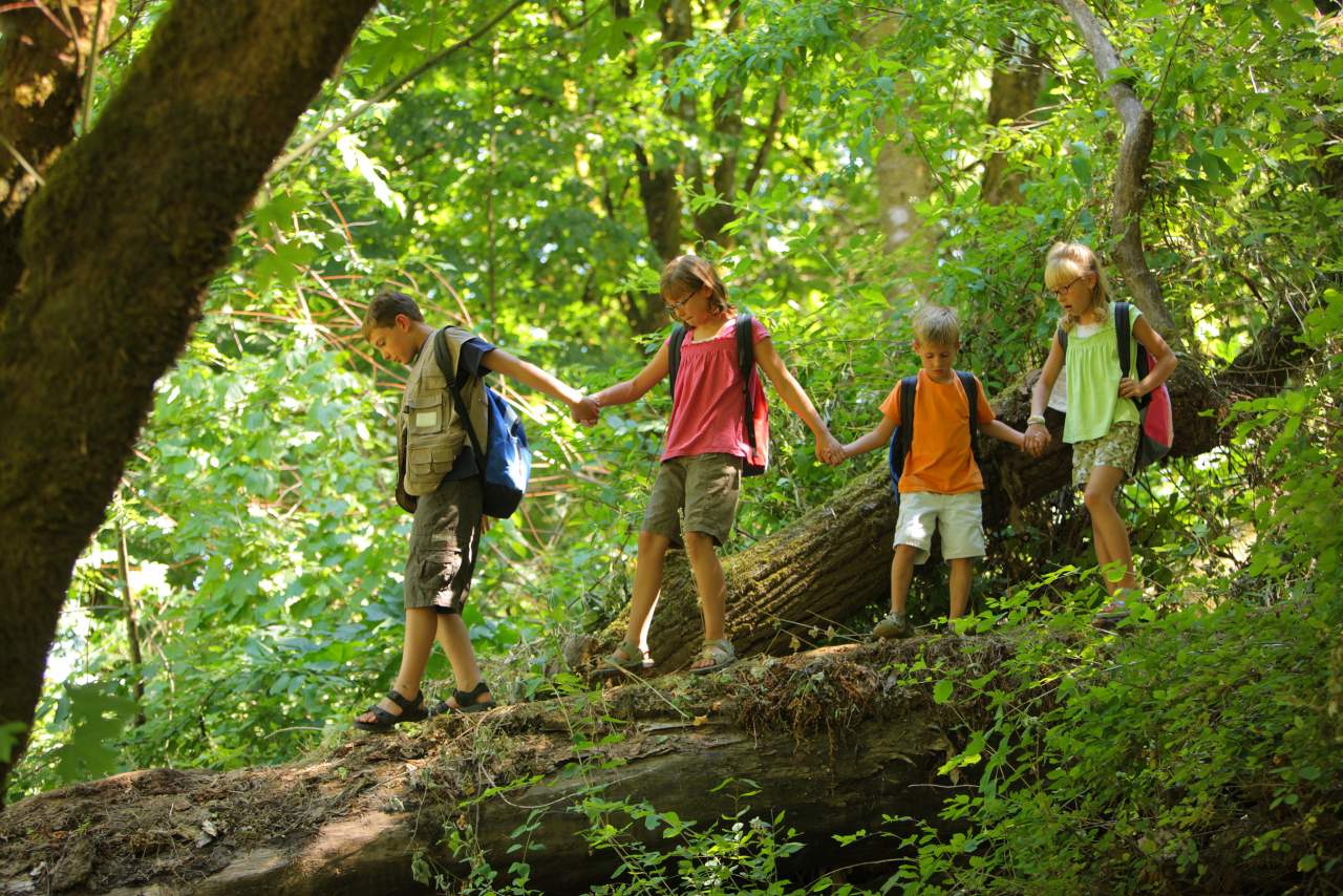 Medidas sanitarias en los campamentos de verano en 2021 de Aventurarte