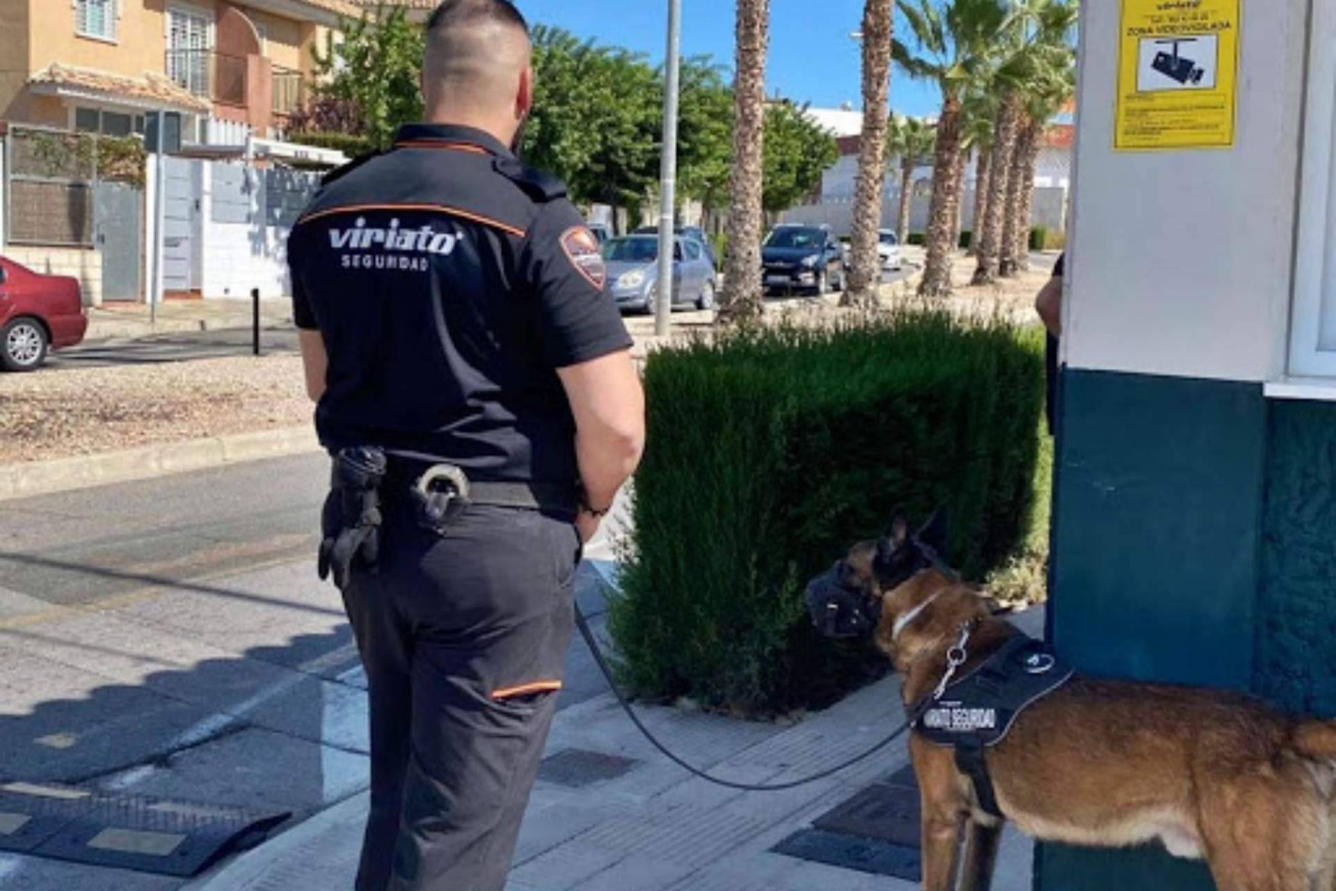 Gracias a sus servicios de vigilancia de alta calidad, Viriato Seguridad se establece como una referencia en el sector de la seguridad