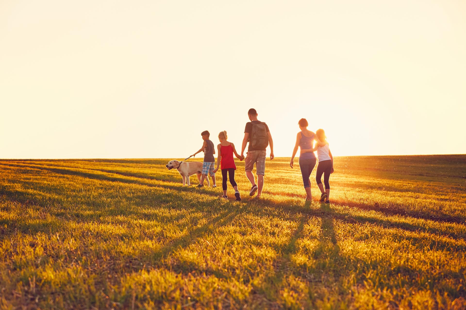 El mejor plan de viajes para familias y amigos: el turismo rural