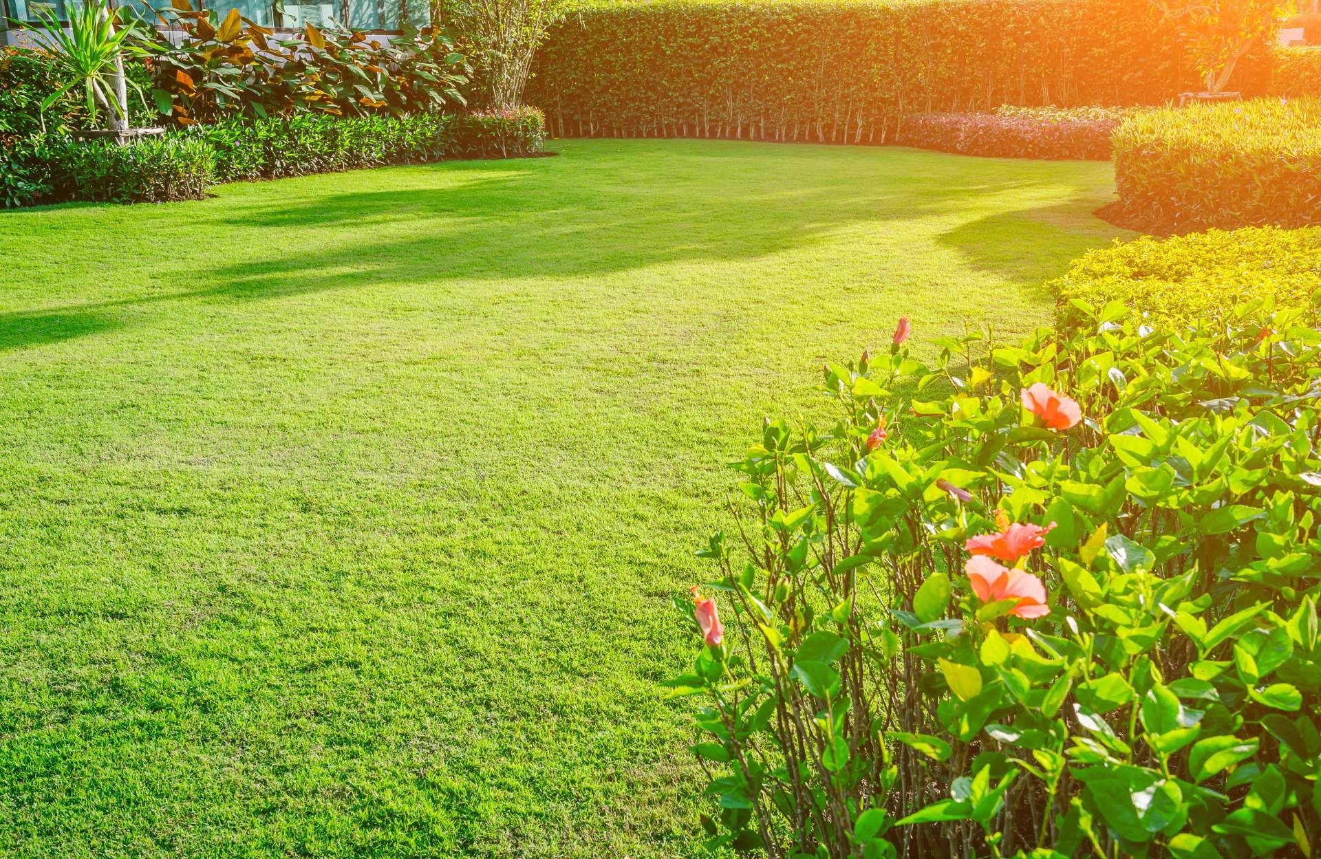 La flexibilidad del cortacésped automático de la empresa Robotic Mowers