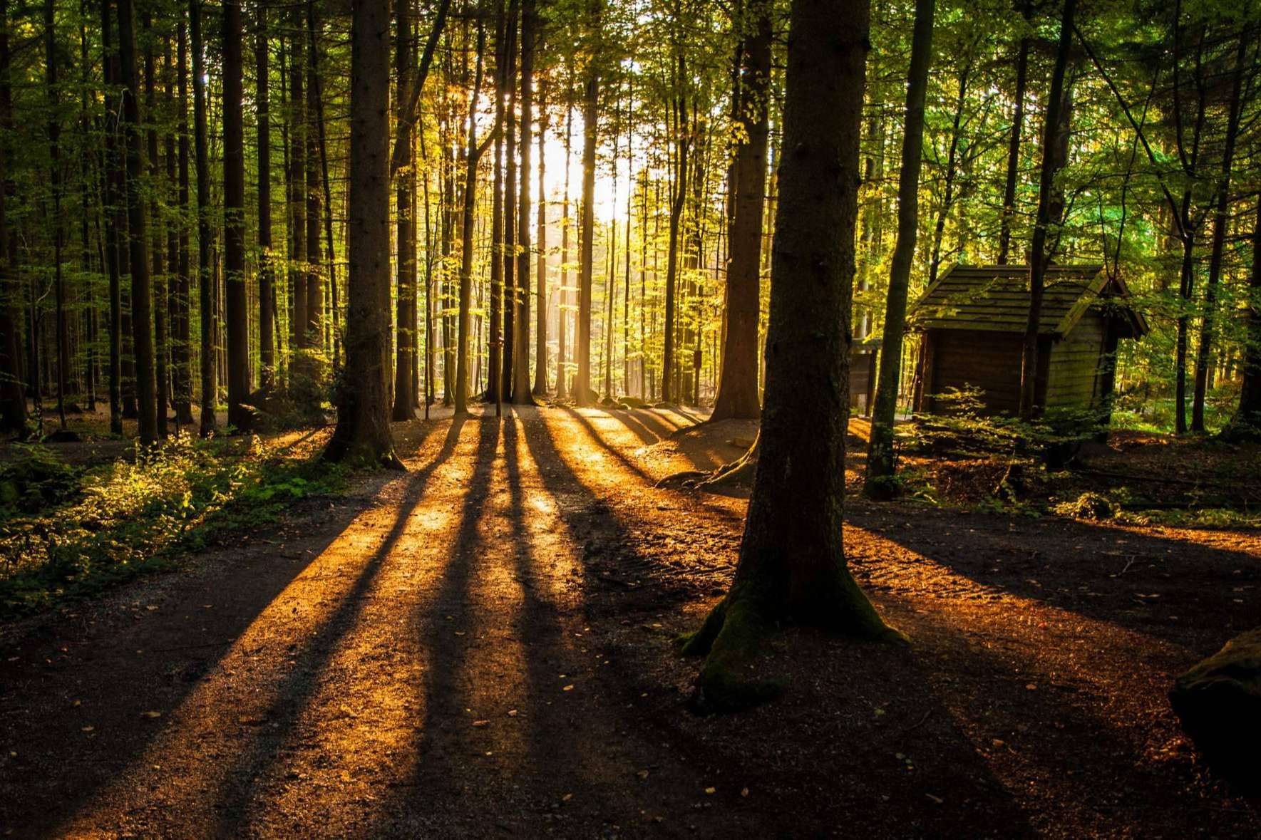 Aventurarte: las mejores instalaciones de campamentos de verano