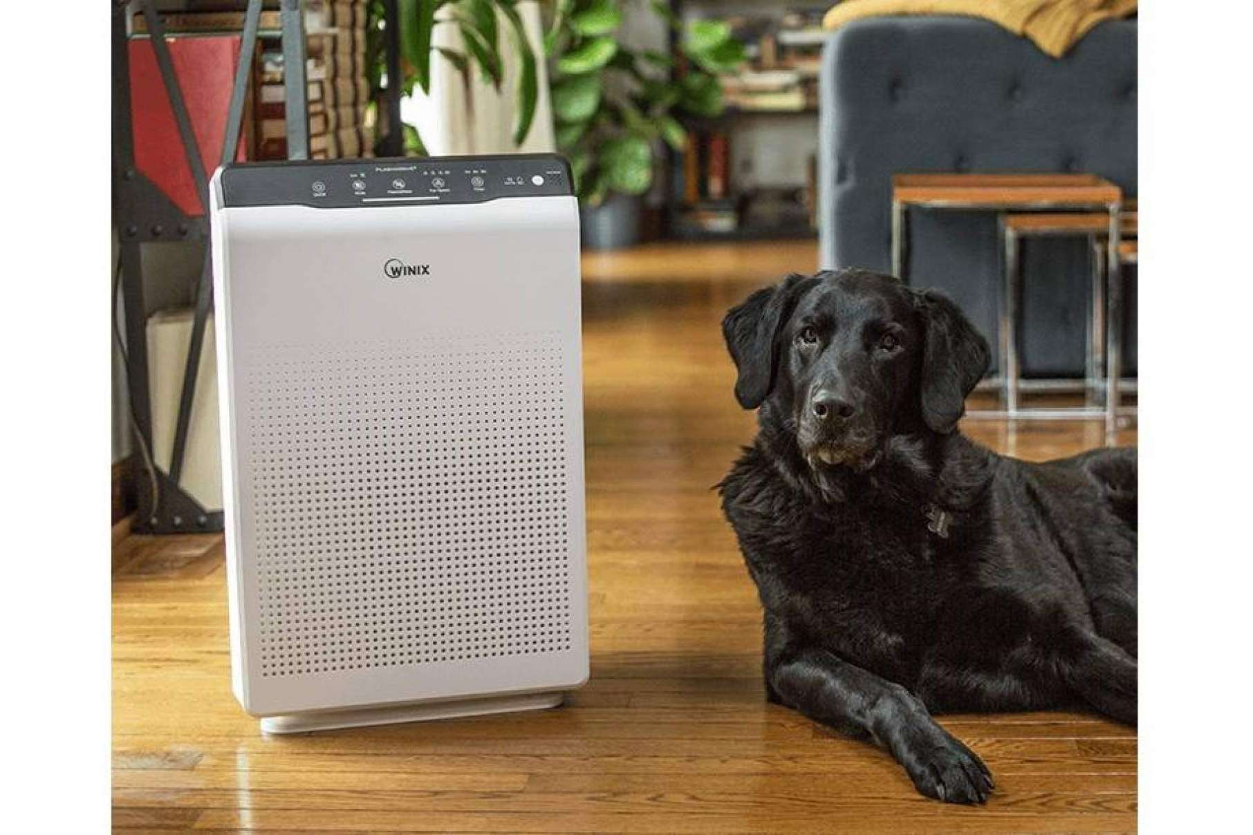 Los purificadores WINIX, disponibles en la tienda online Protect Soiart Distribución