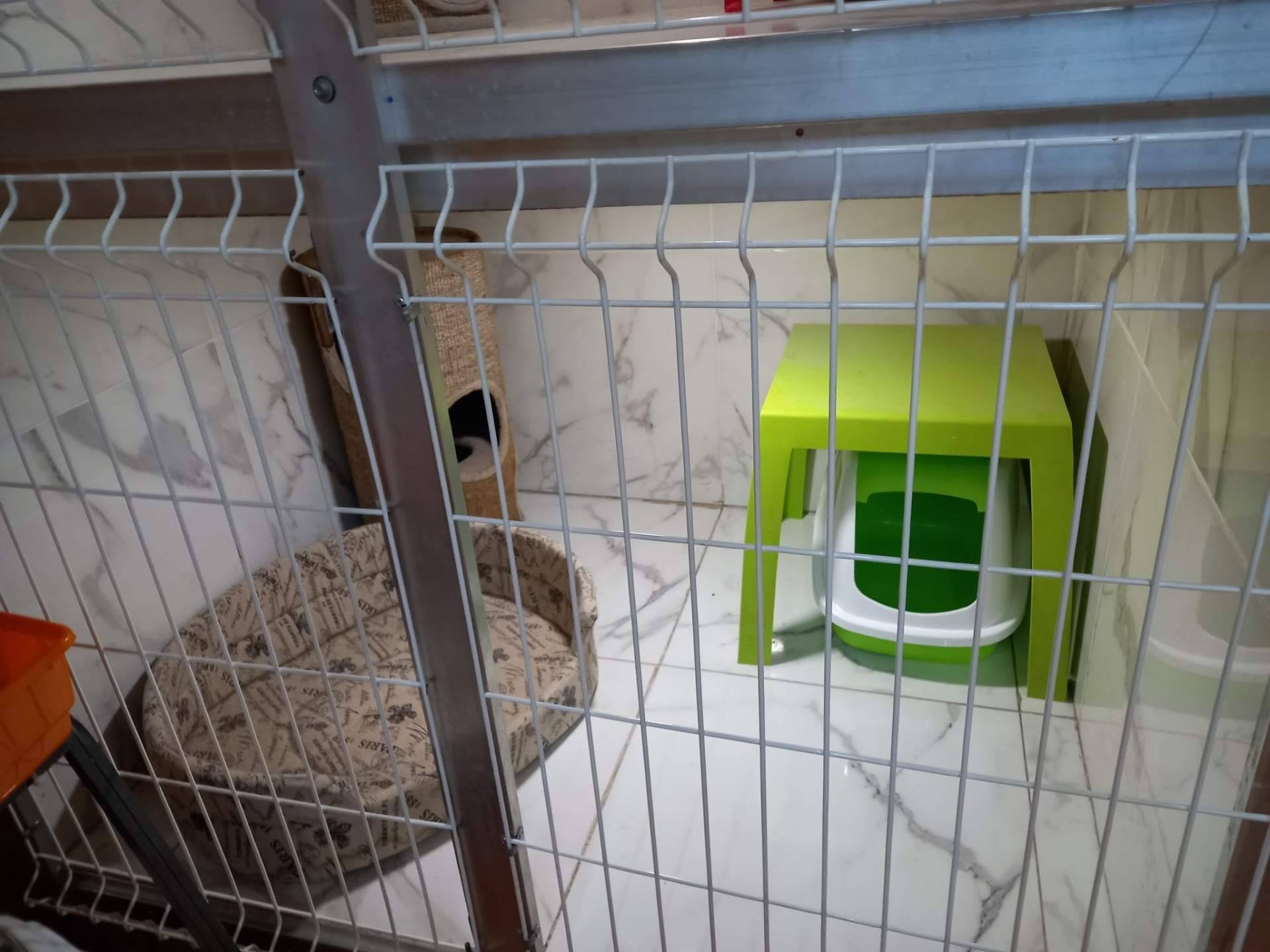 Amaita Mascotas: hotel de mascotas en Irún