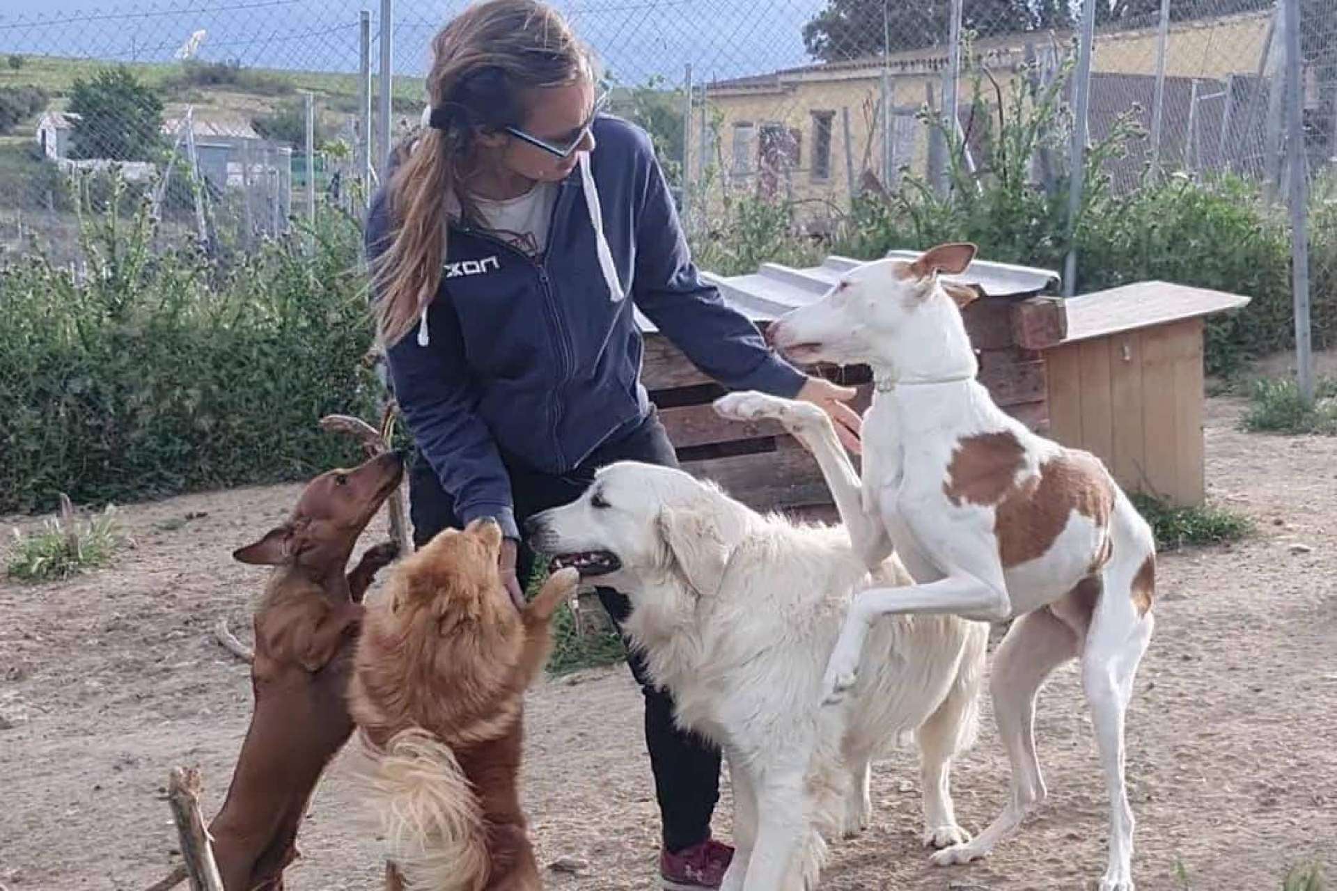 La guardería de día de perros, PERROBUENO