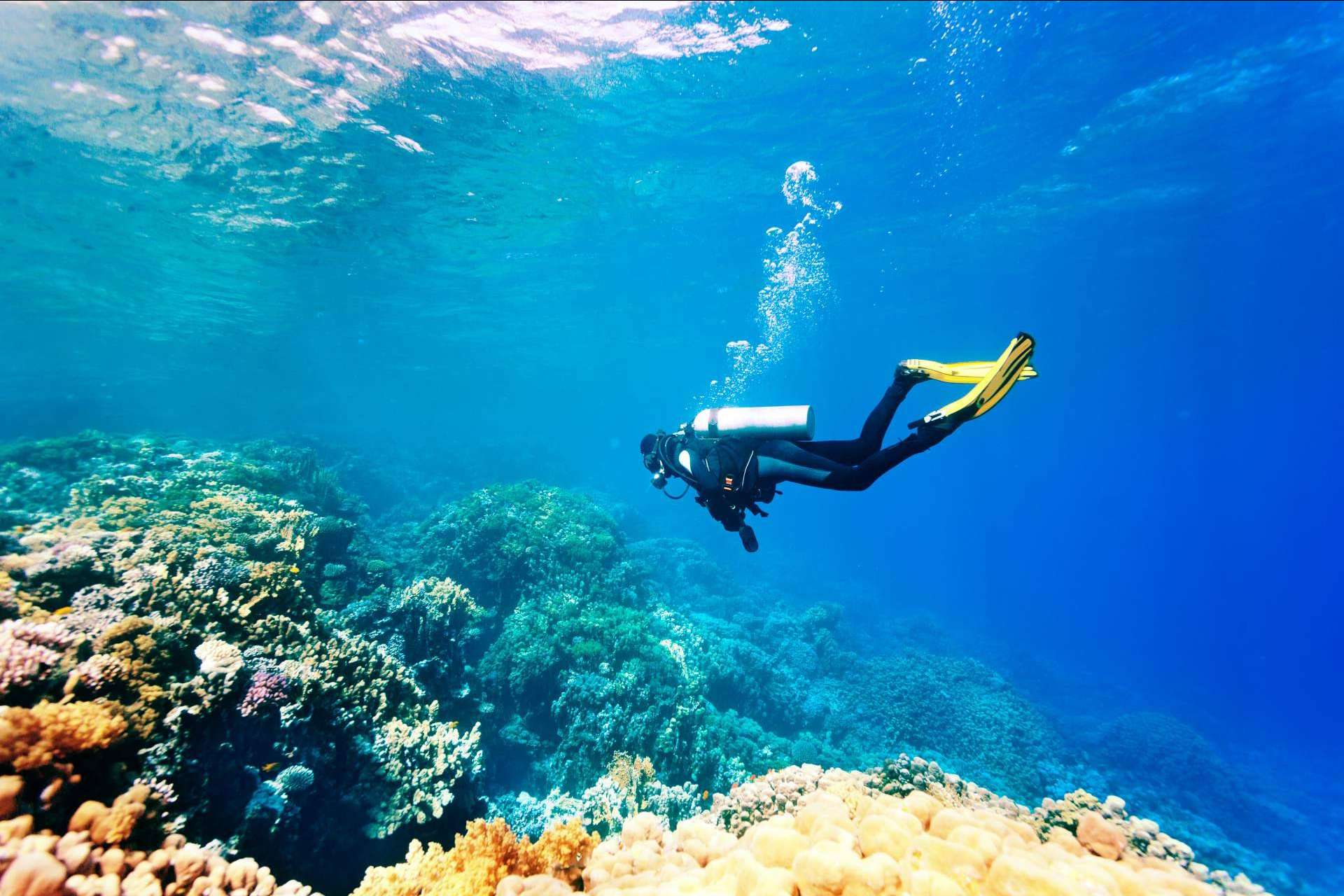 Gestión Emocional: ¿Qué ofrecen los cursos de gestión de estrés en el buceo?
