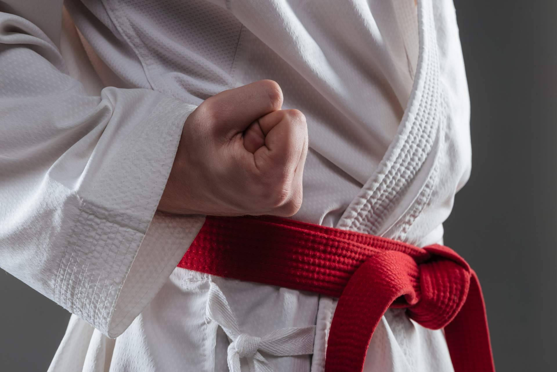 Los amantes de las artes marciales pueden encontrar en la tienda online Kendokan Martial Arts una gran selección de equipo deportivo y equipamiento para poder entrenar en casa