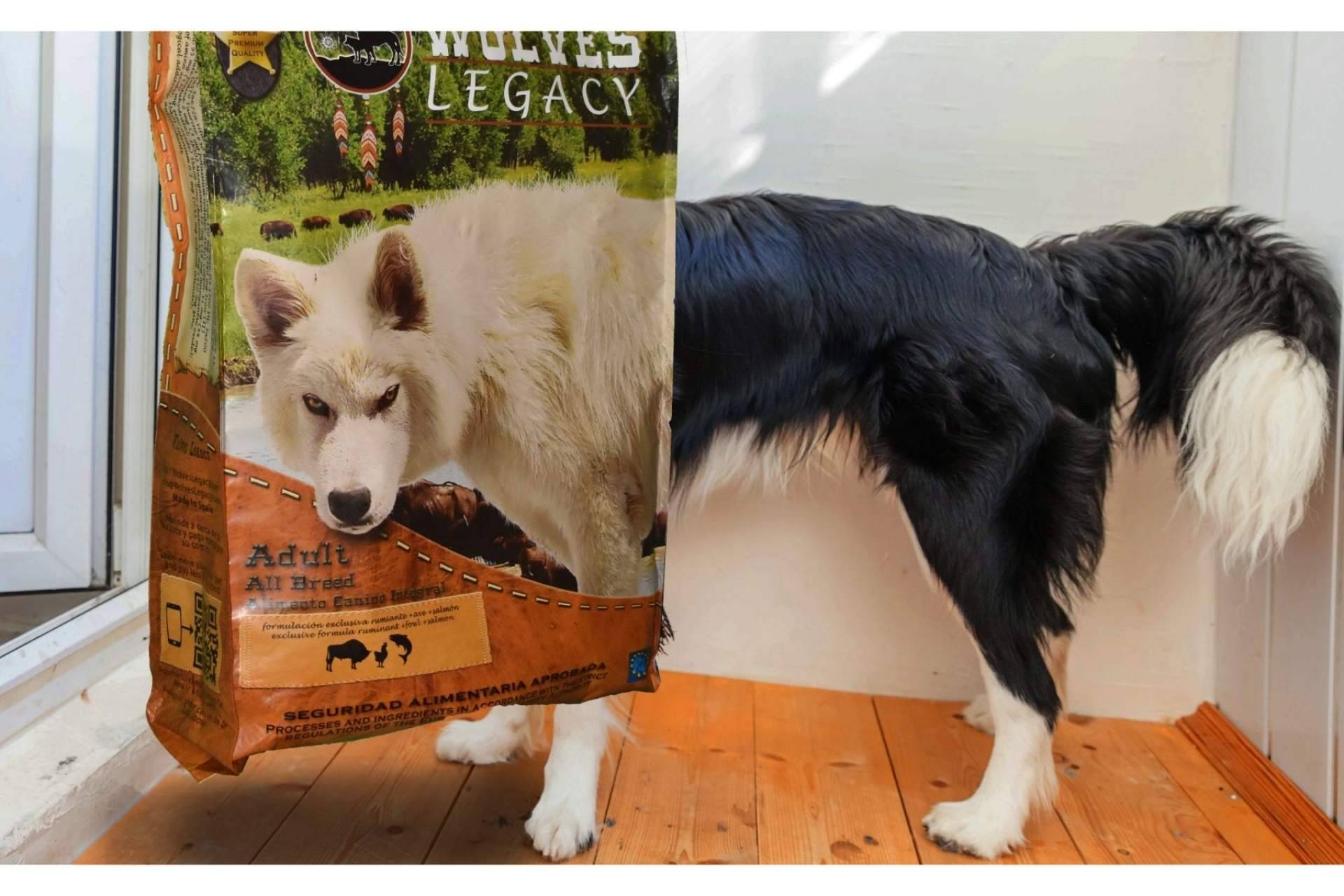 Wolves Legacy obtiene algunas de las mejores opiniones del pienso para perros