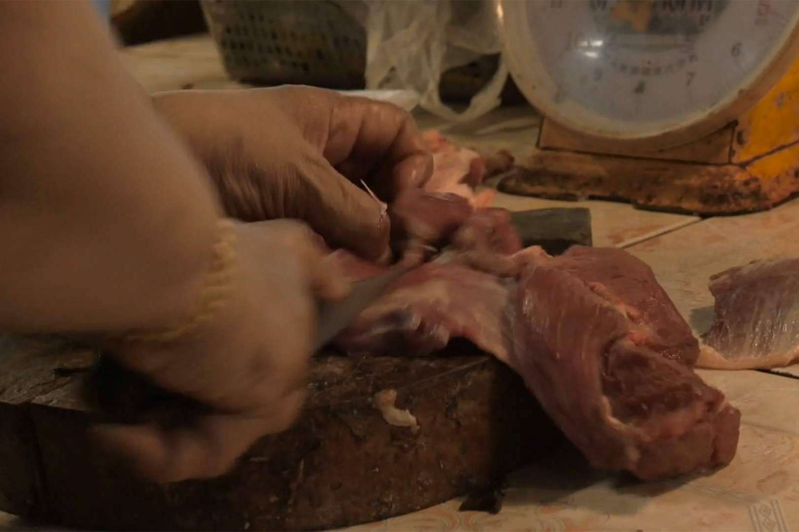 Dietas BARF para perros, toda la información