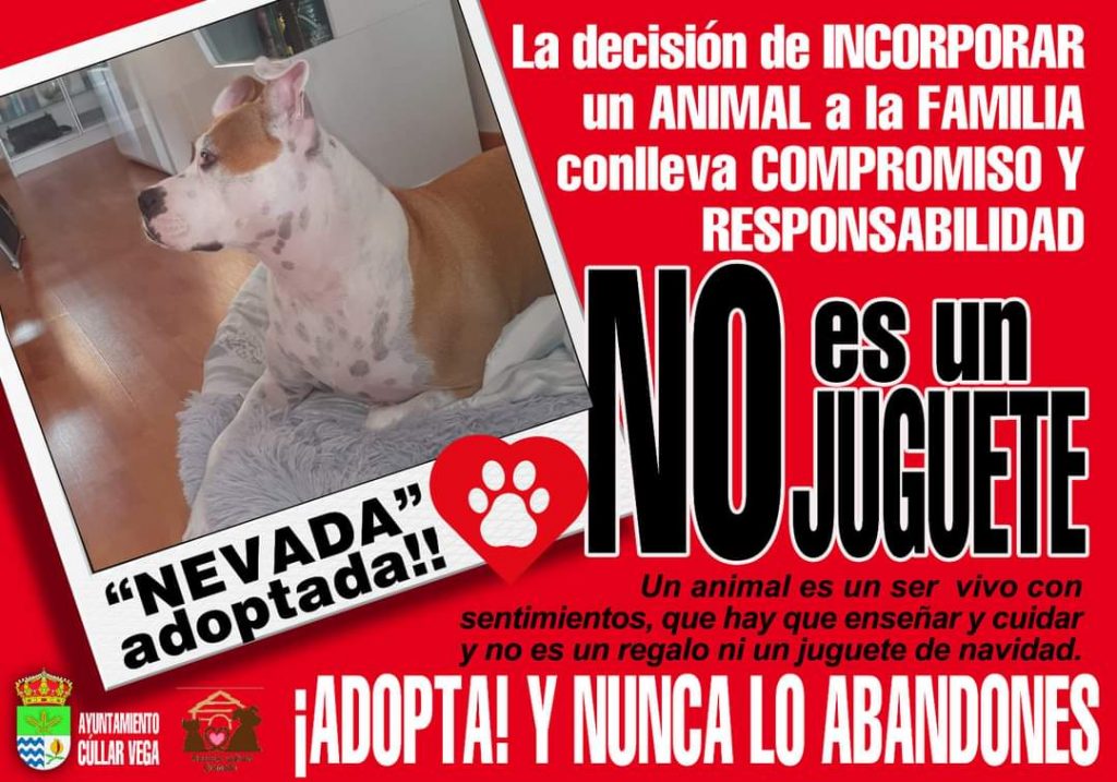 Campaña: ¡¡UN ANIMAL NO ES UN JUGUETE!!