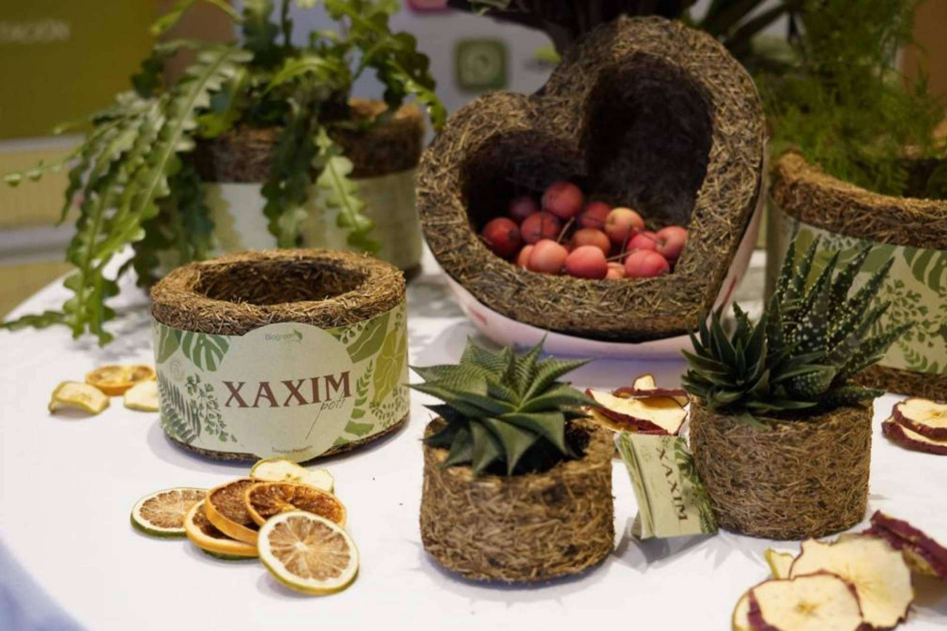 Un regalo ecológico y original para sorprender a la pareja el día de los enamorados mientras se cuida el planeta, con Biosolvit Spain