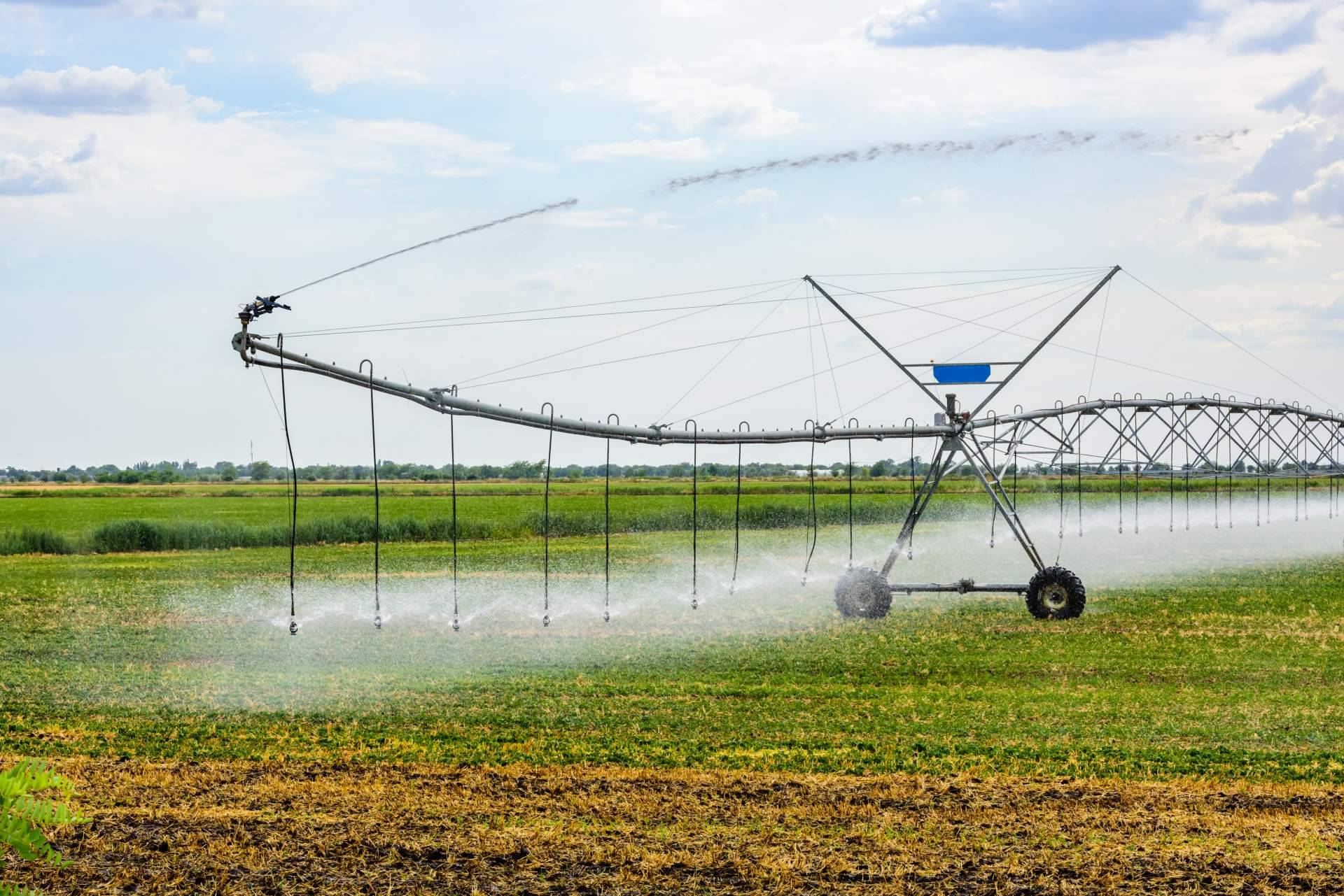 La sequía impulsa la necesidad de optimizar la gestión del agua para riego