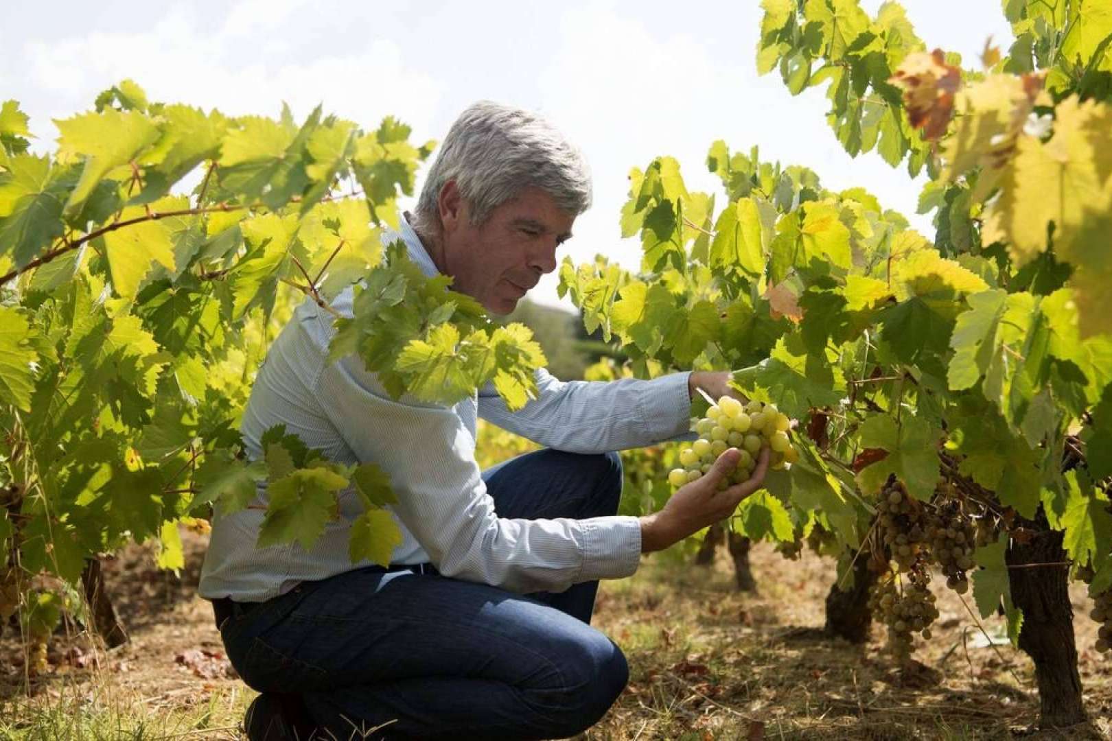 Vino Pedro Ximénez, elixir de uvas pasas con sabor a Andalucía