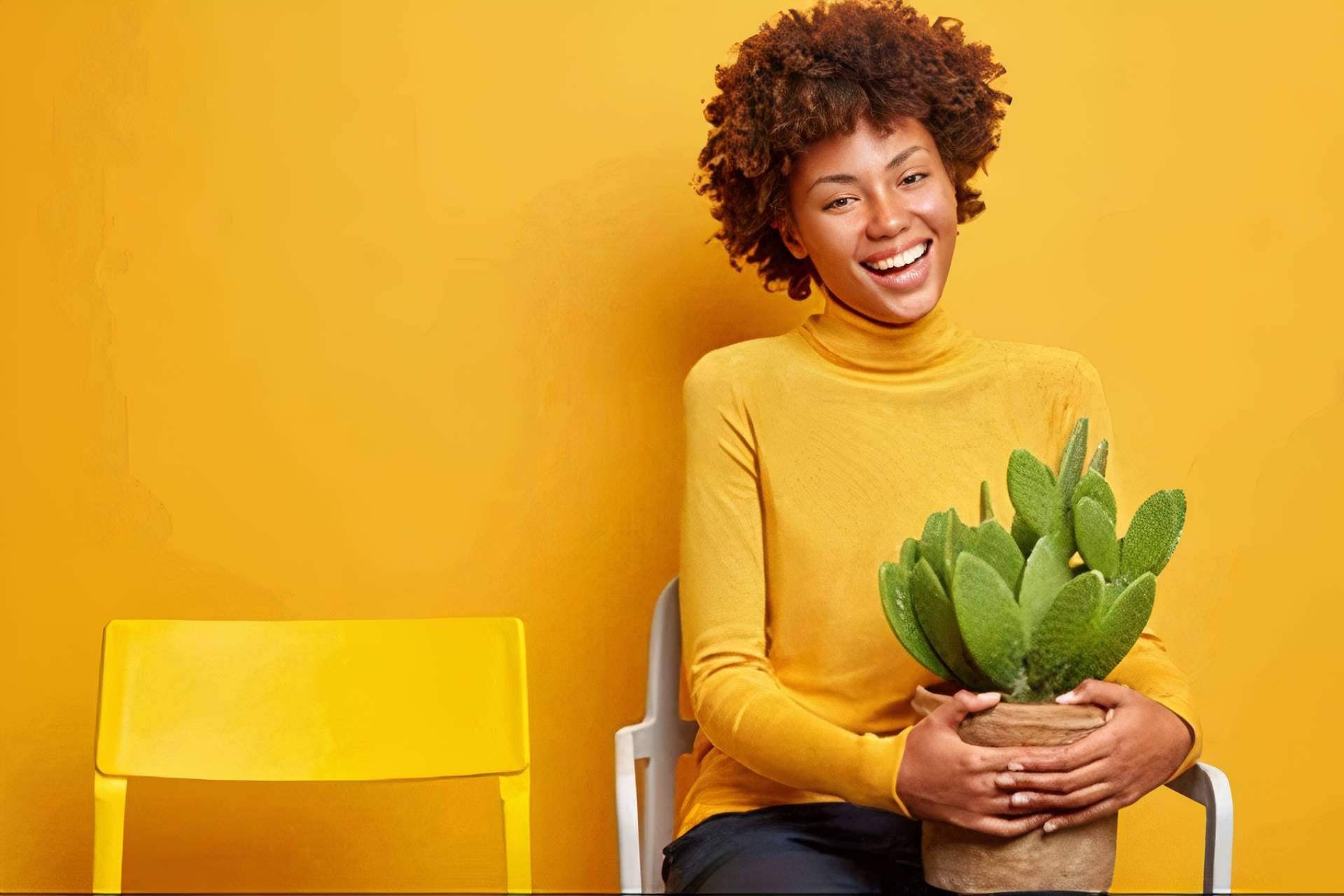Cómo decorar con los diferentes tipos de cactus