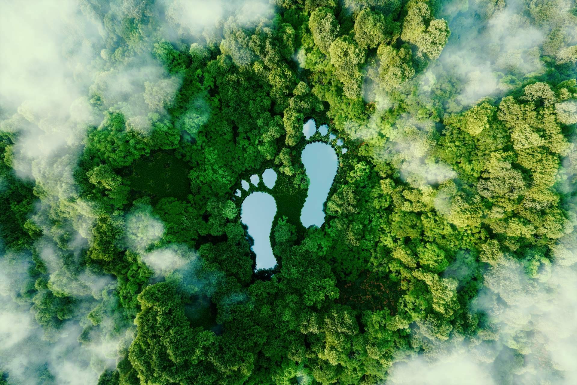 Compensar la huella de carbono con empresas como ClimateTrade