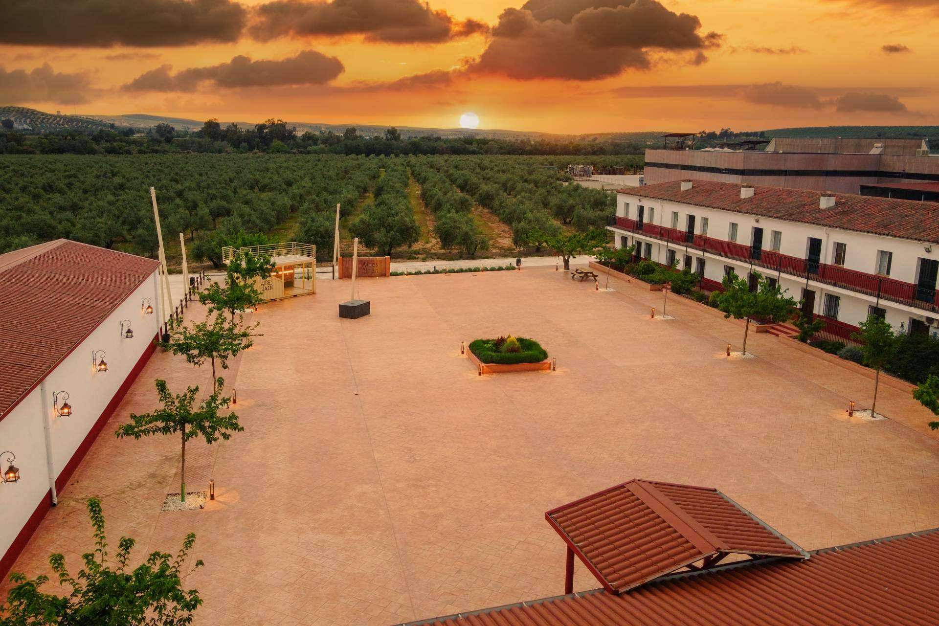 Aires de Jaén pone a la venta las entradas del II tardeo entre olivos