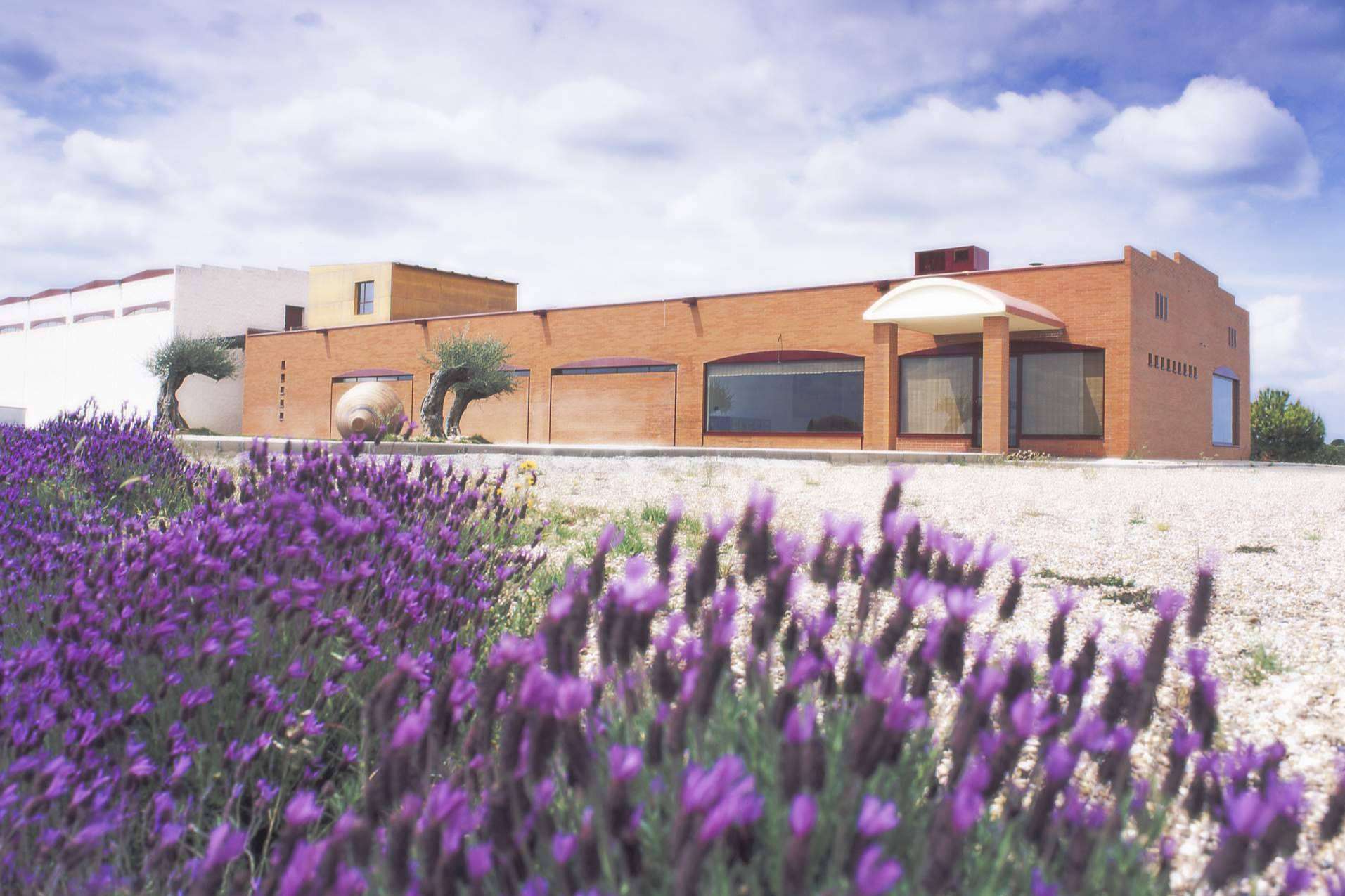 Carlos Moro suma Sanclodio a su conjunto de bodegas boutique