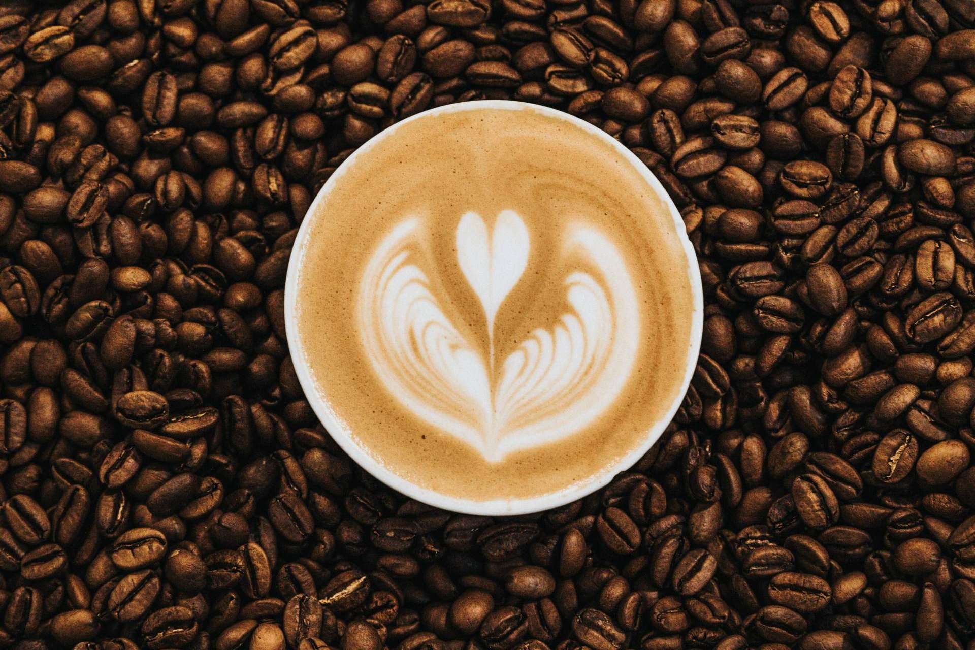 La experiencia sensitiva única gracias a la receta secreta de su café molido que ofrece Cafés Legend