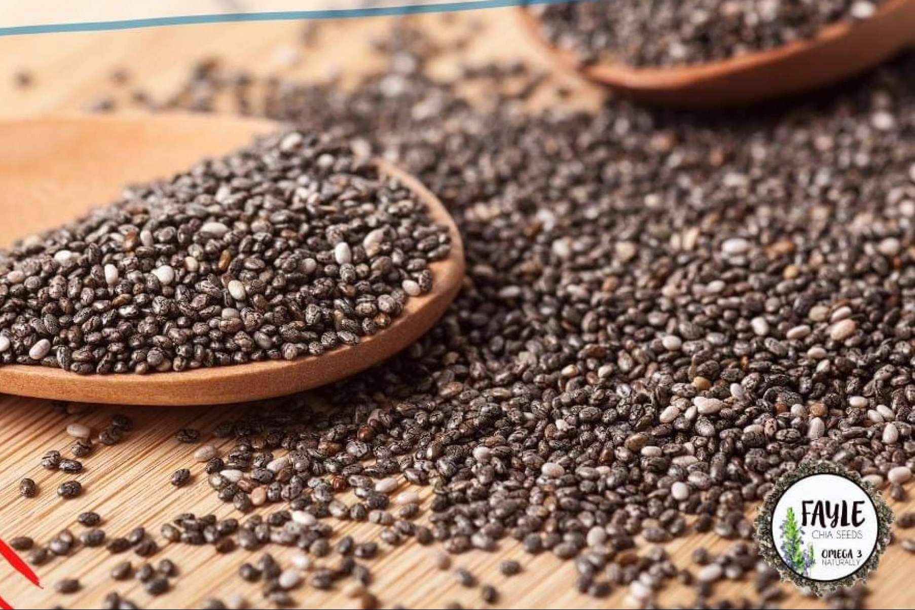 La semilla de chía cultivada en México de Fayle Seeds