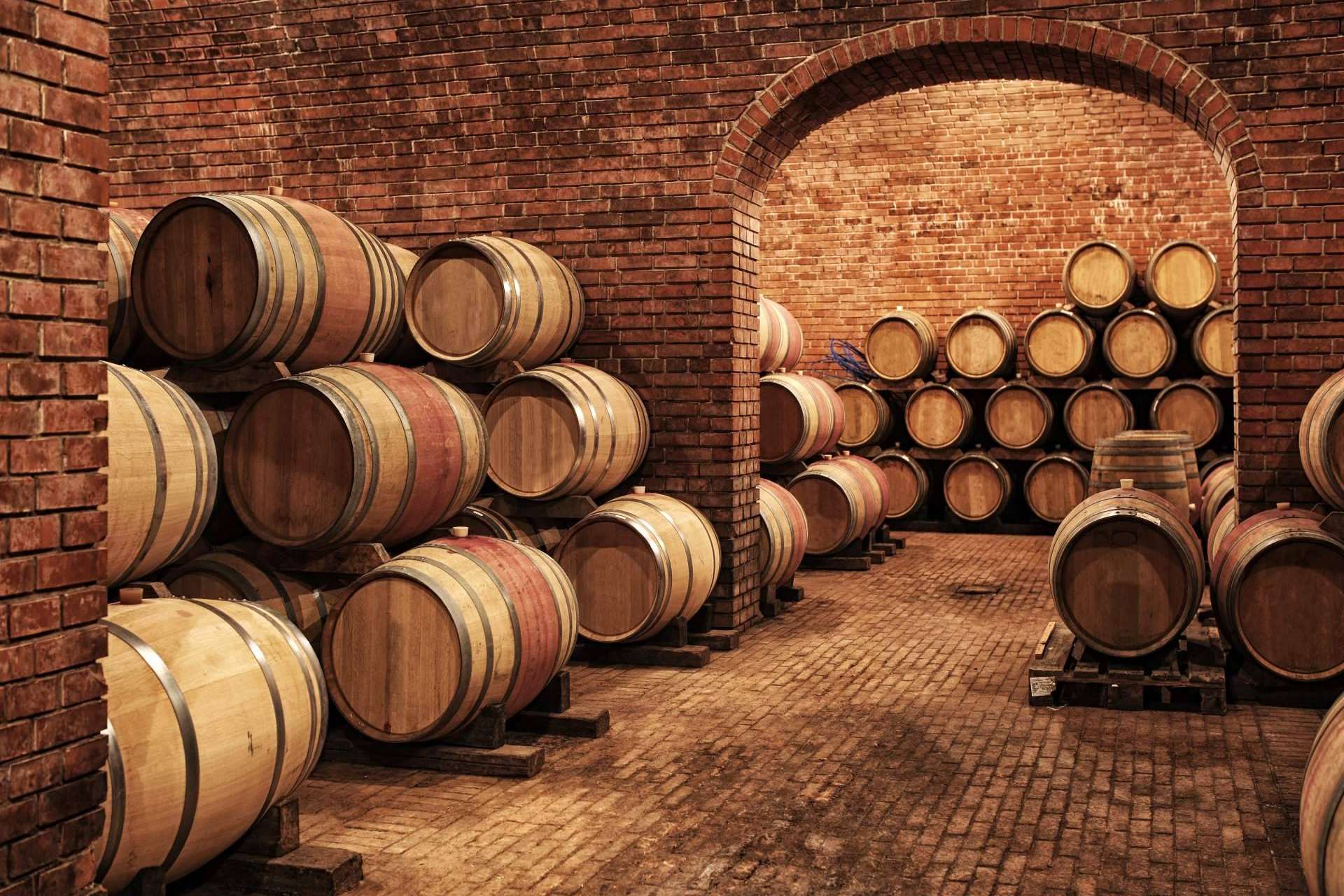 Optimizar las estrategias de marketing a través de la base de datos de bodegas de vino en España que ofrece BancoDatos