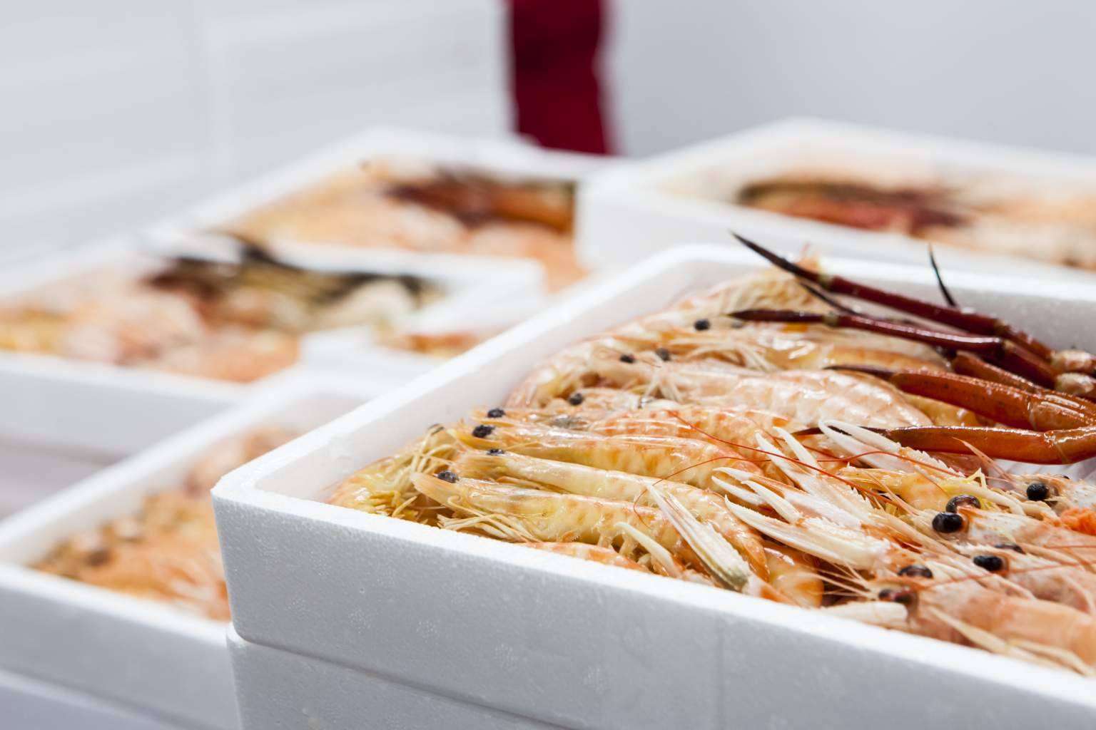 Mariscos Apolo importa marisco congelado y pescado de calidad