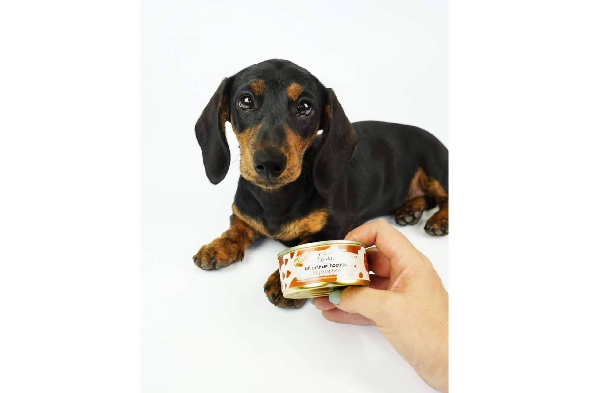 Lenda dispone de un menú degustación para cachorros