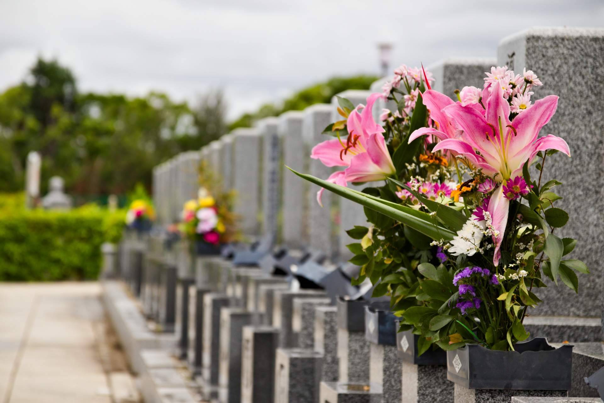 El interés por las flores para el cementerio crece en un 800 % en el Día de Todos los Santos