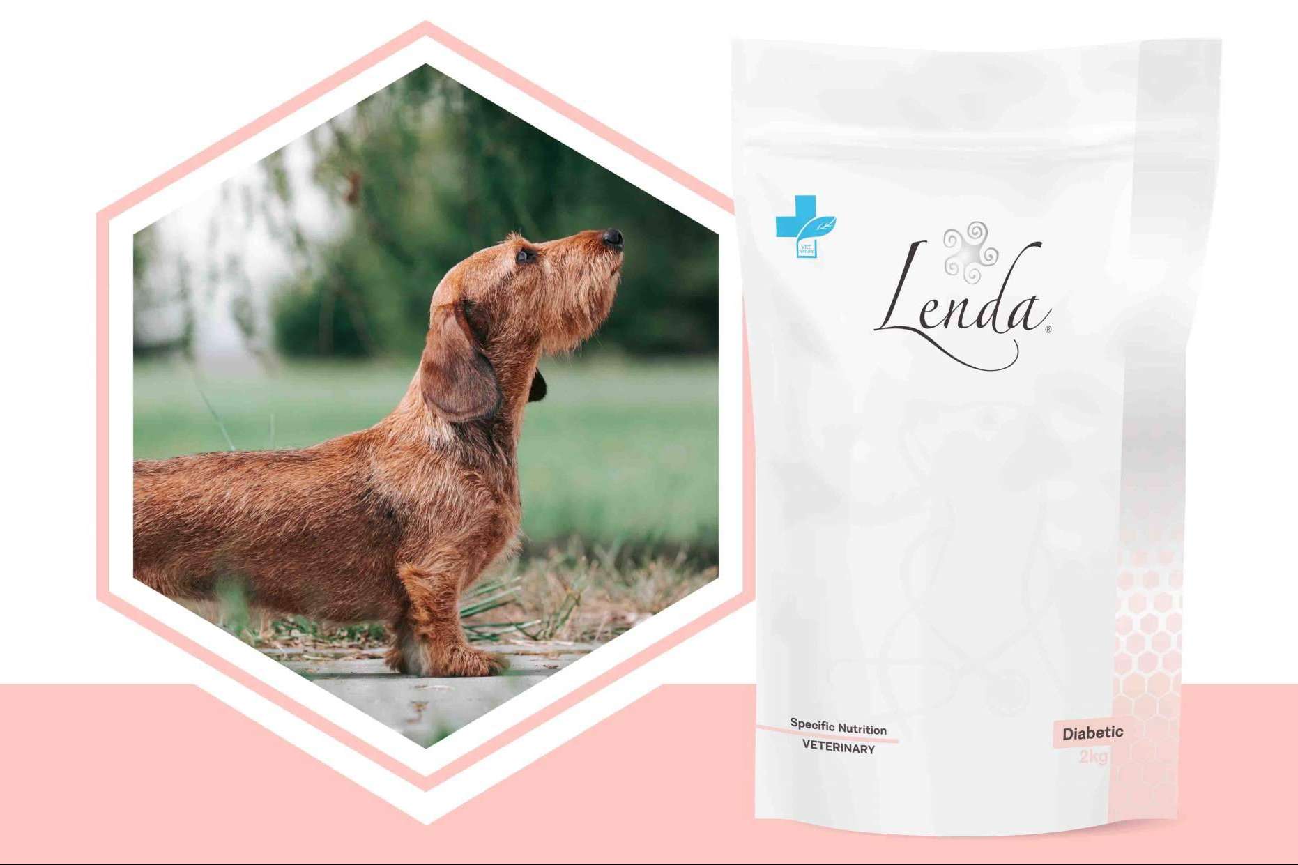 El pienso para perros diabéticos de Lenda VET Nature y sus propiedades