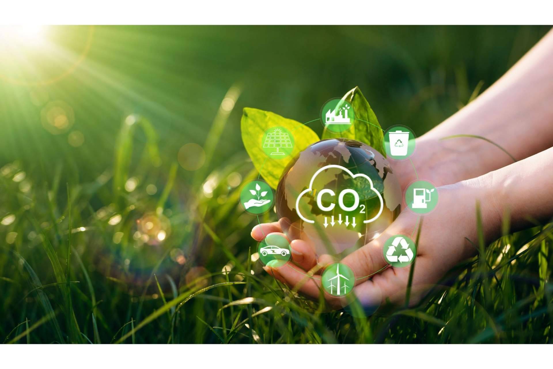 Proyectos sostenibles para reducir la huella de carbono, con ClimateTrade