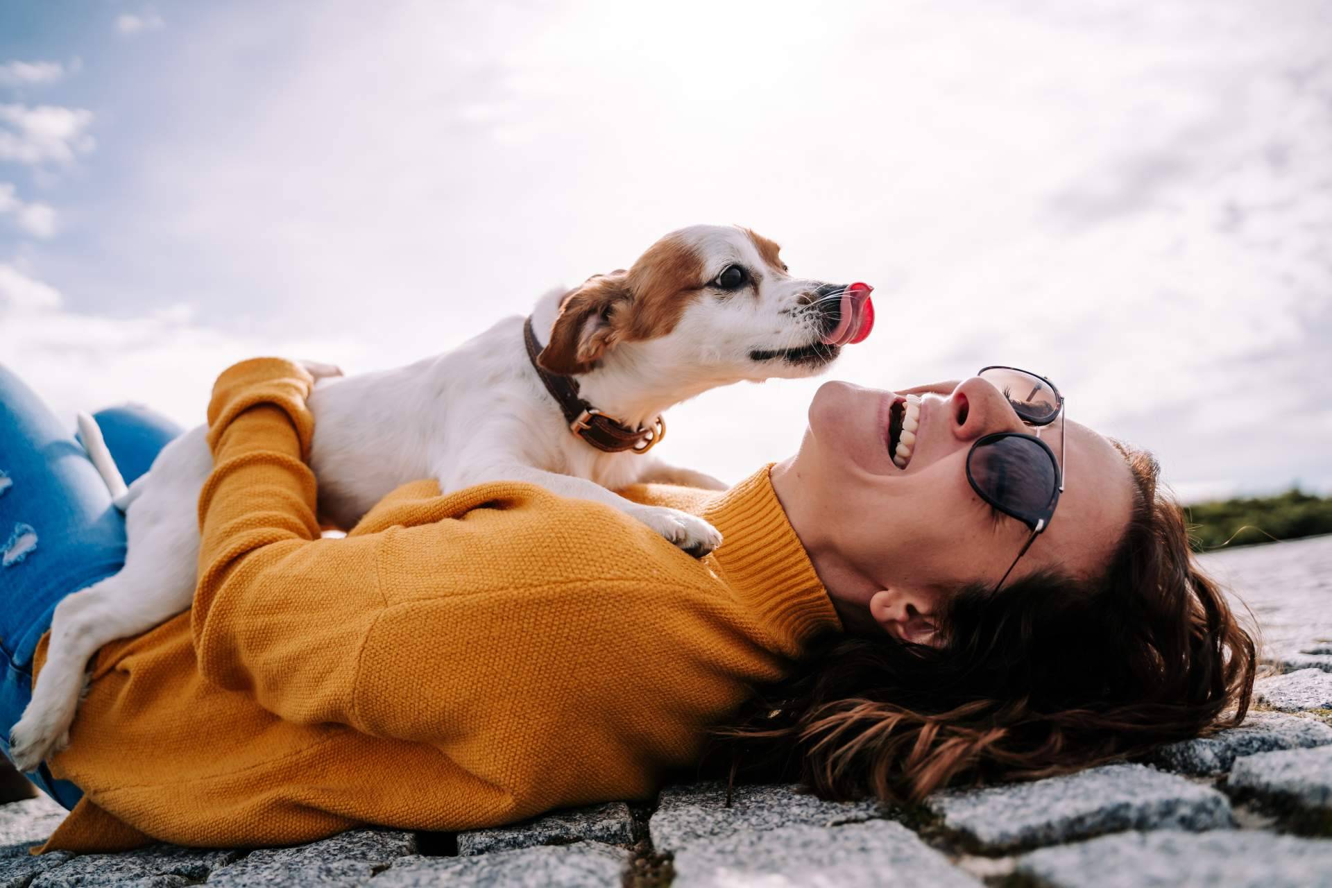 Mooiza Zen habla sobre la ansiedad en perros y problemas de comportamiento