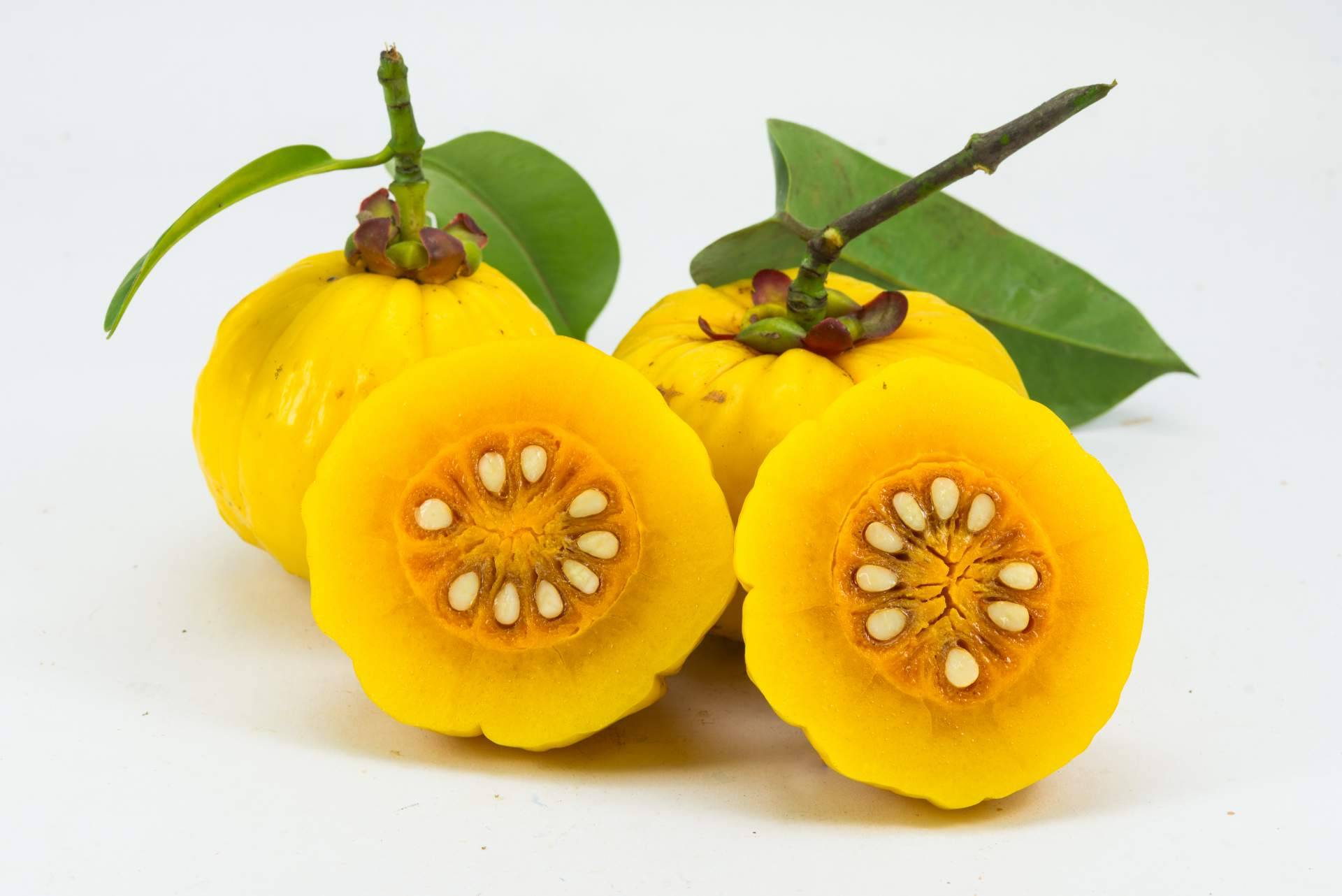 La Parafarmacia del Puerto explica los beneficios de la Garcinia Cambogia