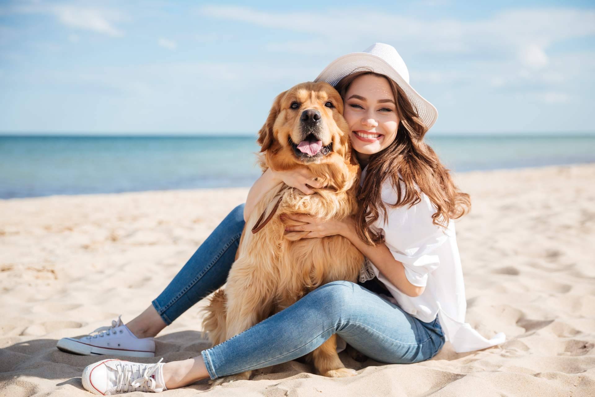 Piensos para perros con Wolves Legacy, la legendaria fórmula que los perros devoran