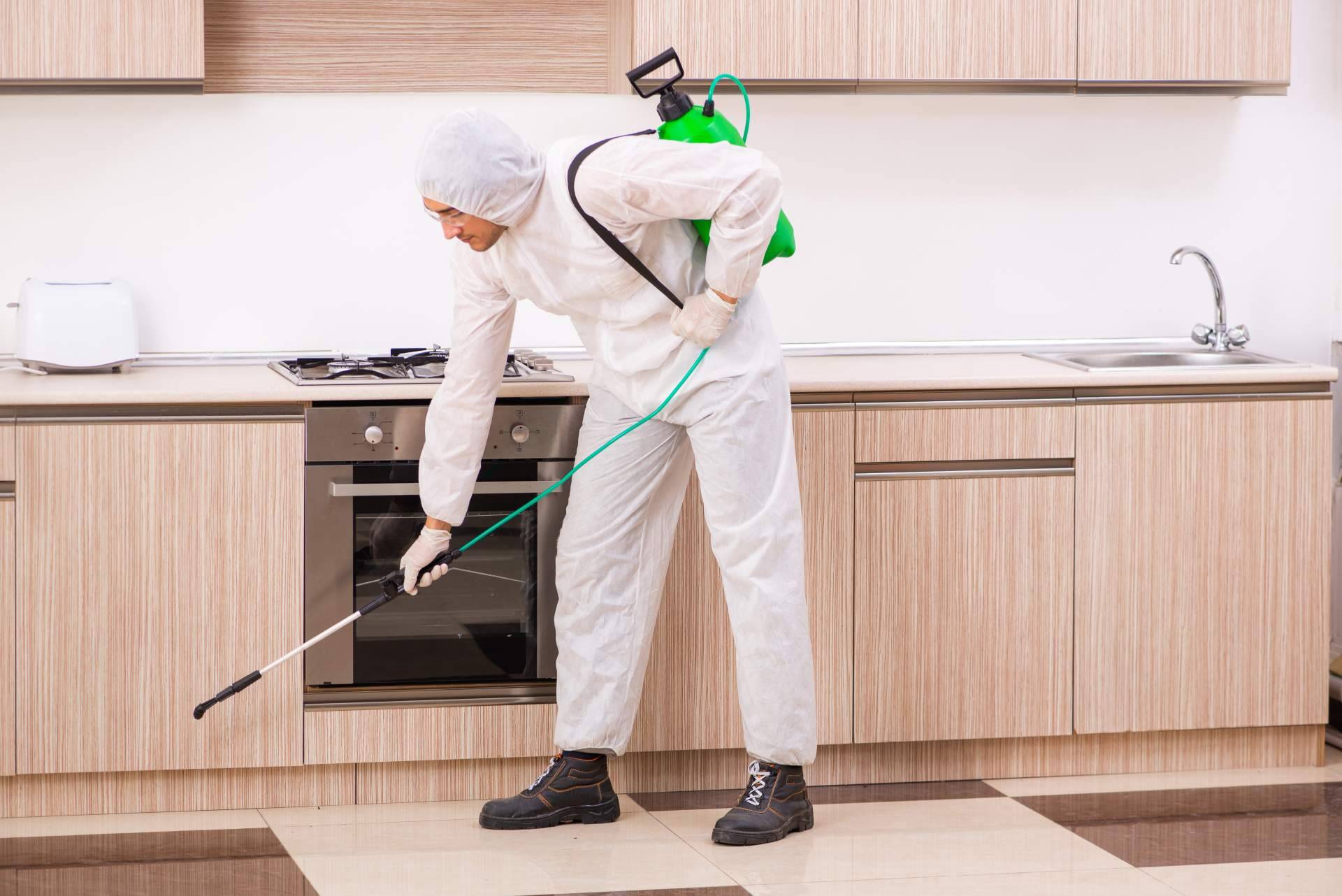 Control de plagas con los servicios de Laboratorios Astursa