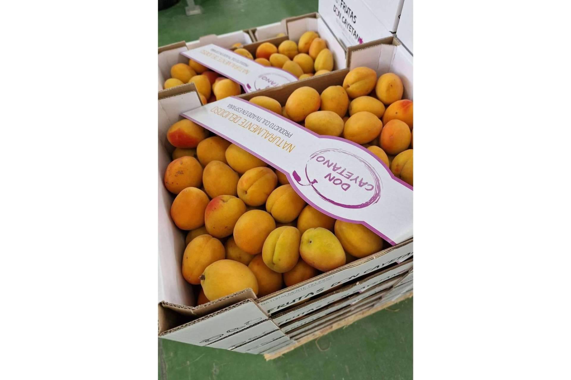 La empresa especializada en la exportación de frutas de hueso y cítricos, Frutas Don Cayetano