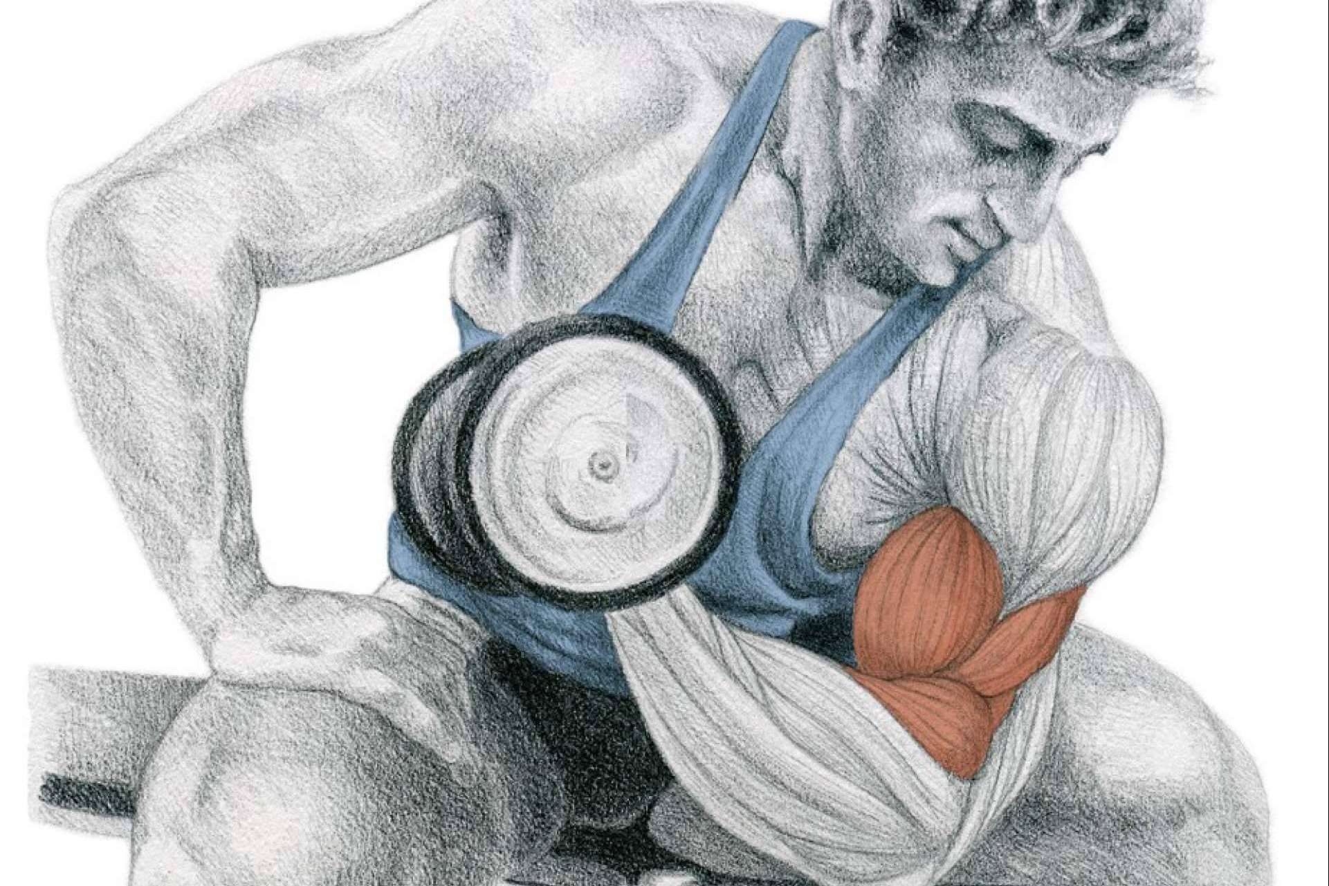 La enciclopedia de musculación de Óscar Morán se convierte en un referente a nivel mundial