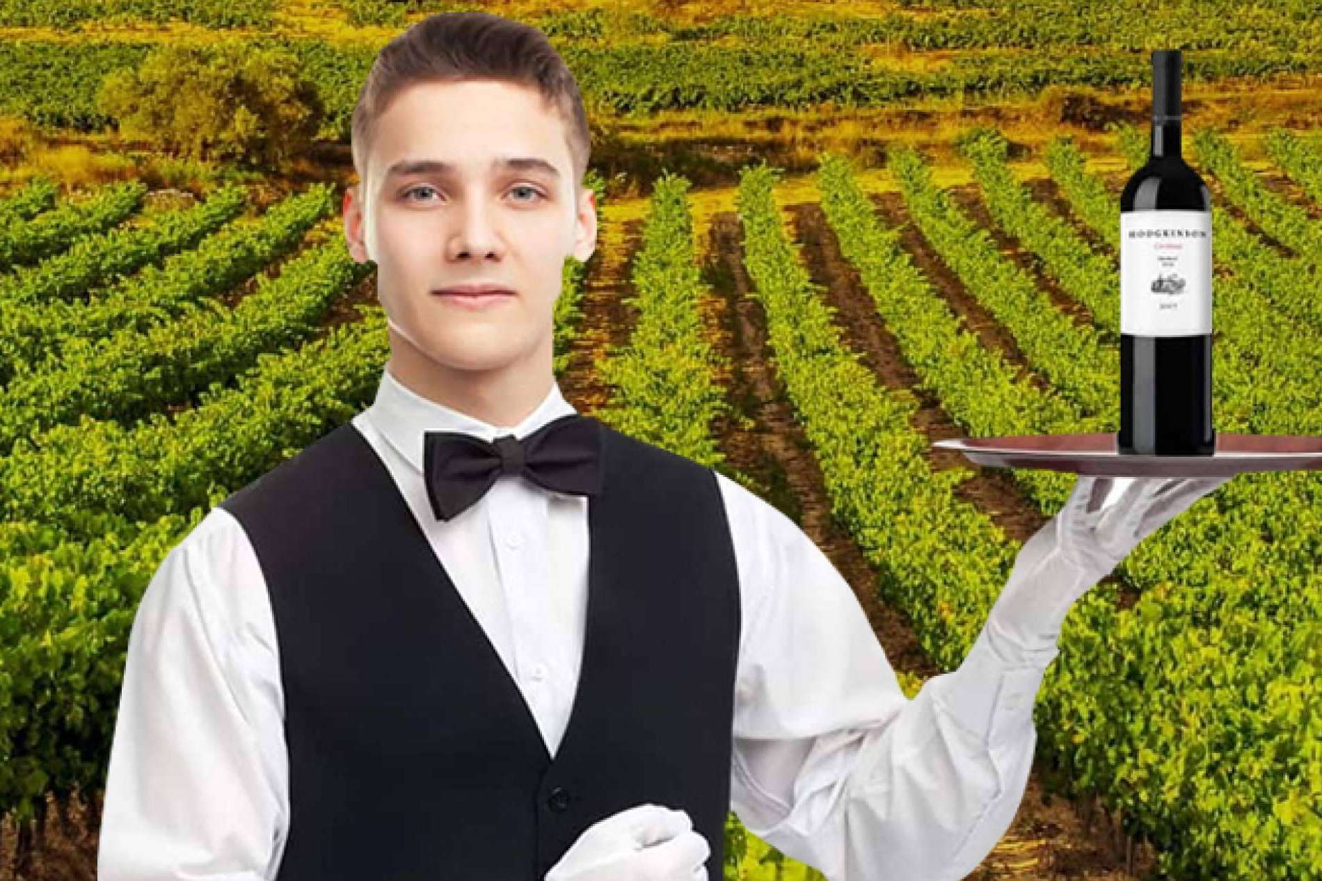 Caldeu presenta vinos Can Paloma elaborados en Montserrat y un servicio de sommelier online