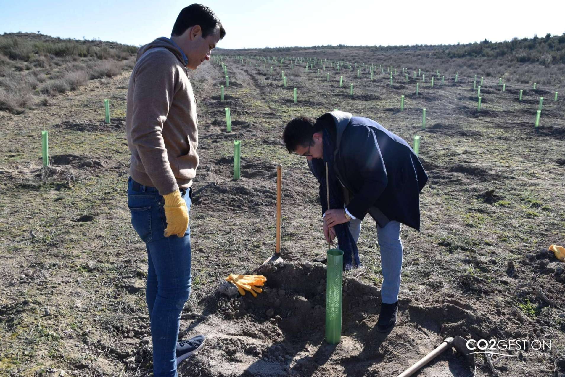 Un nuevo bosque en Zaragoza plantado por ICT Ibérica y Fundación Alcoraz
