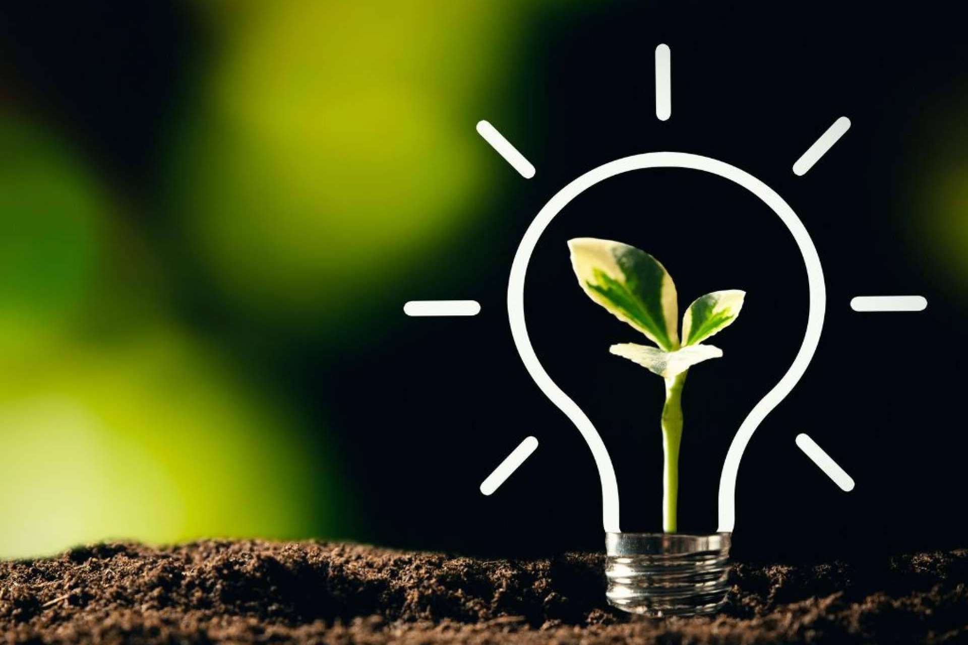 La ONG que convierte proyectos sociales latinoamericanos en empresas sociales con proyección en Europa, Share to Change