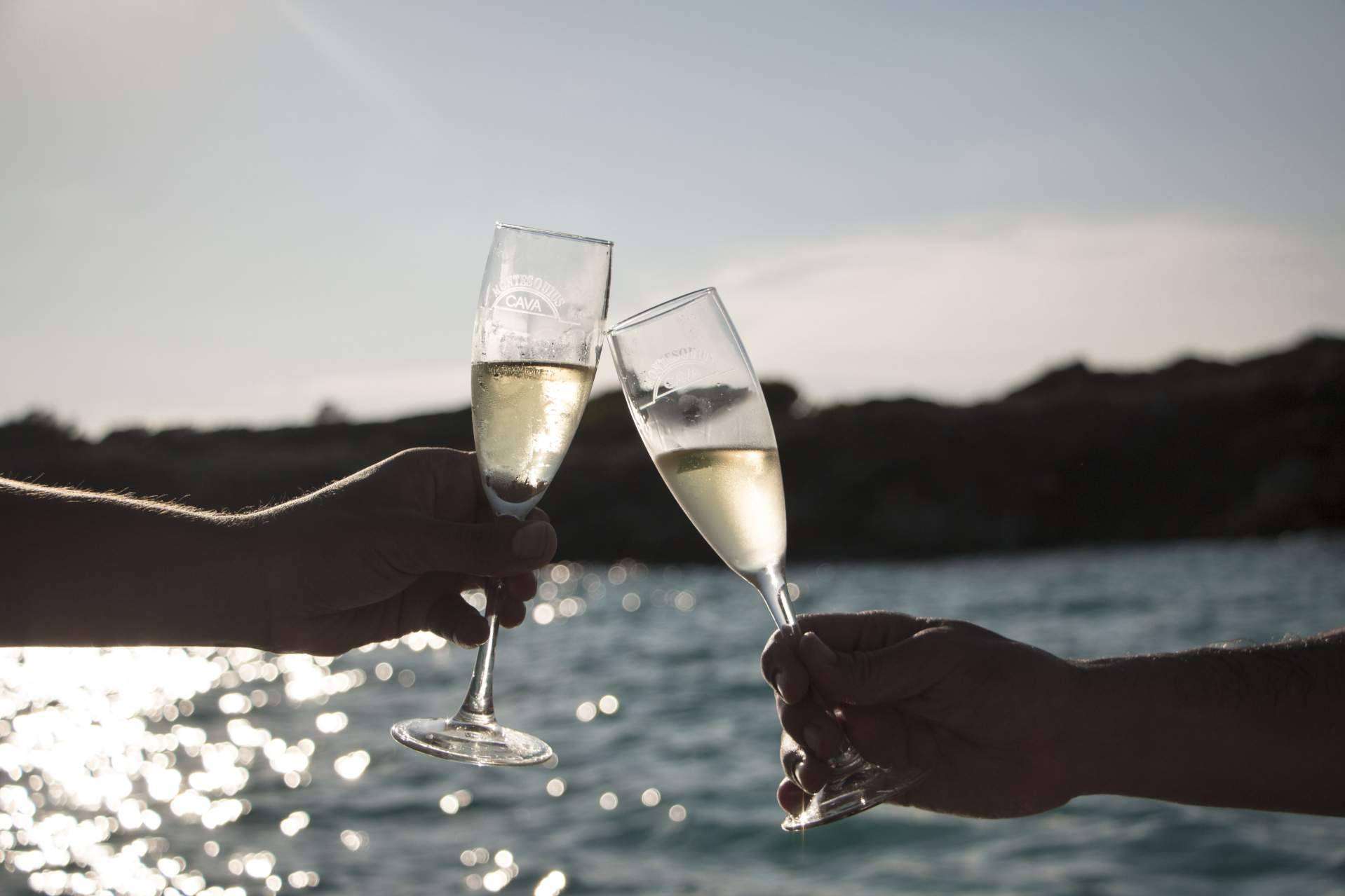 Natureloverswines.com, el espacio para adquirir vinos para ocasiones especiales