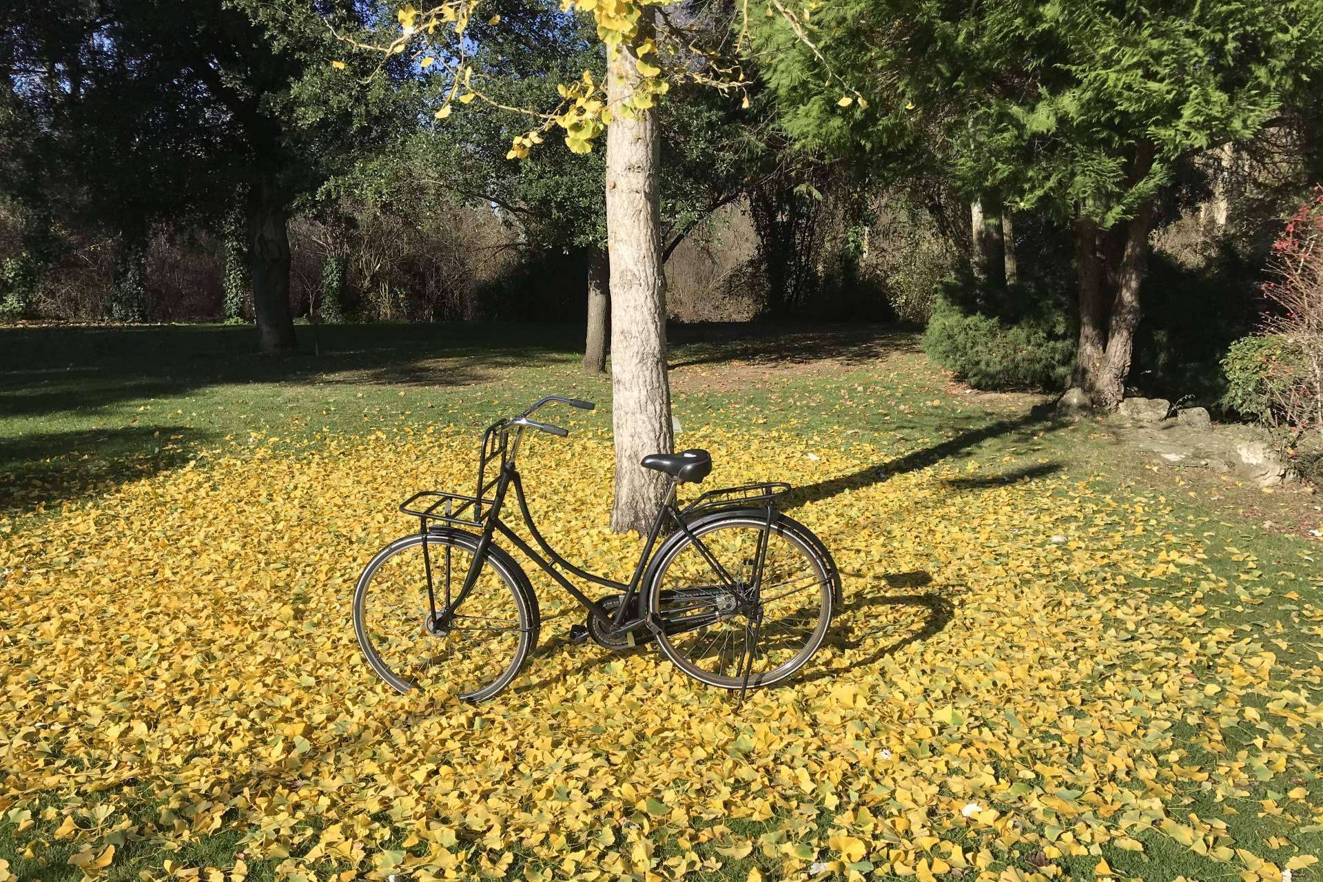 ¡Quiero una bici! y sus bicis holandesas de segunda mano