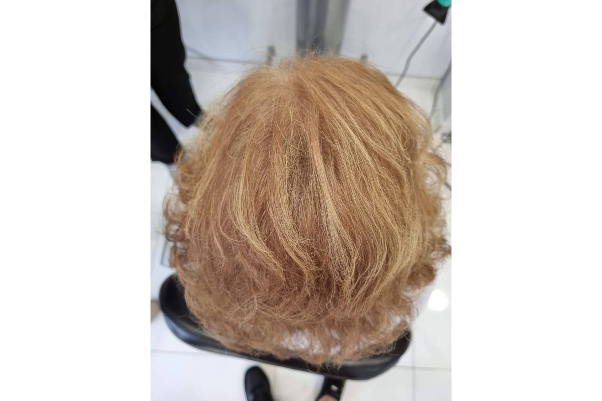 ¿Qué son las fibras capilares?, explicado por Lion Hair