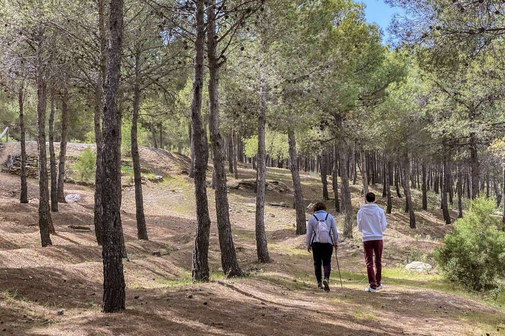 5 cosas importantes para hacer en el interior de Almería, turismo en Almería con Turismo Almanzora