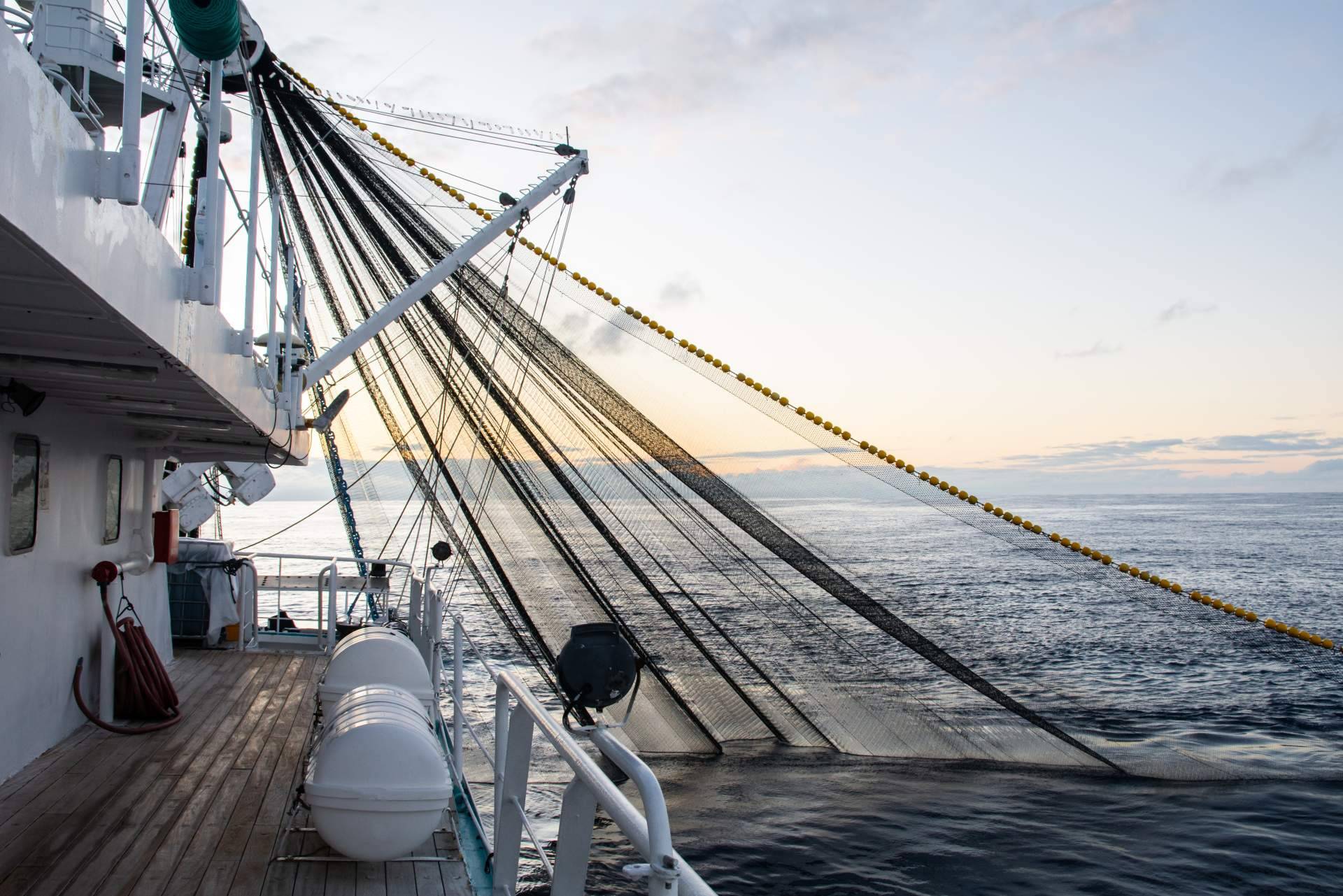 elsegurodemibarco.com sobre los aspectos a considerar al escoger un seguro para un barco
