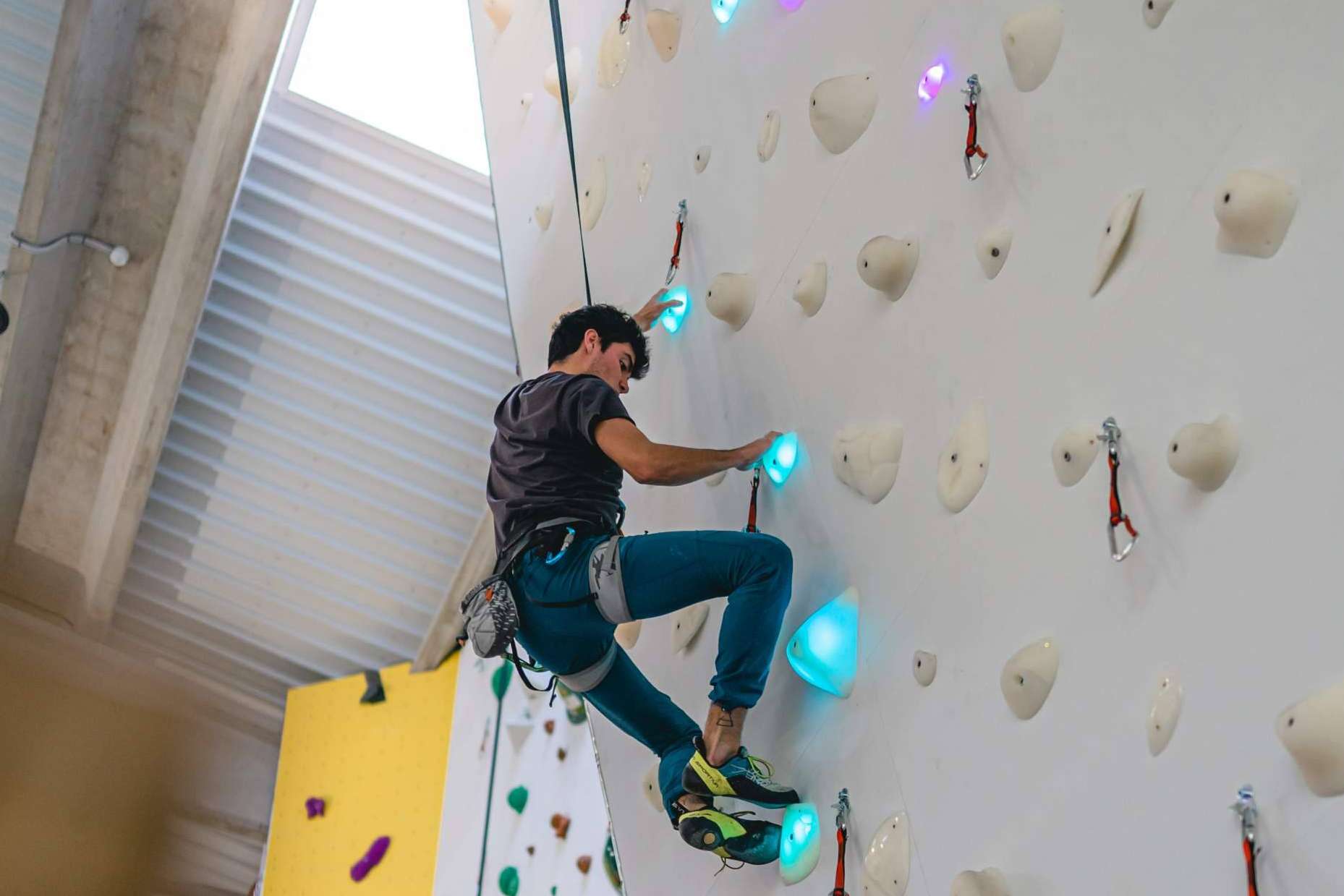 Razones por las que elegir los sistemas de escalada Shiny Wall