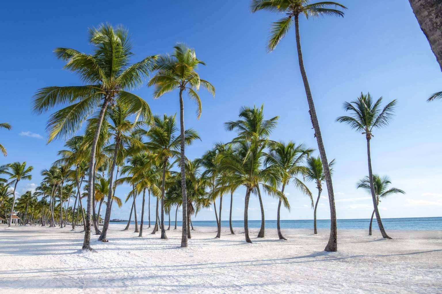 Kaza Realtor Group pone a la venta apartamentos en construcción en Punta Cana