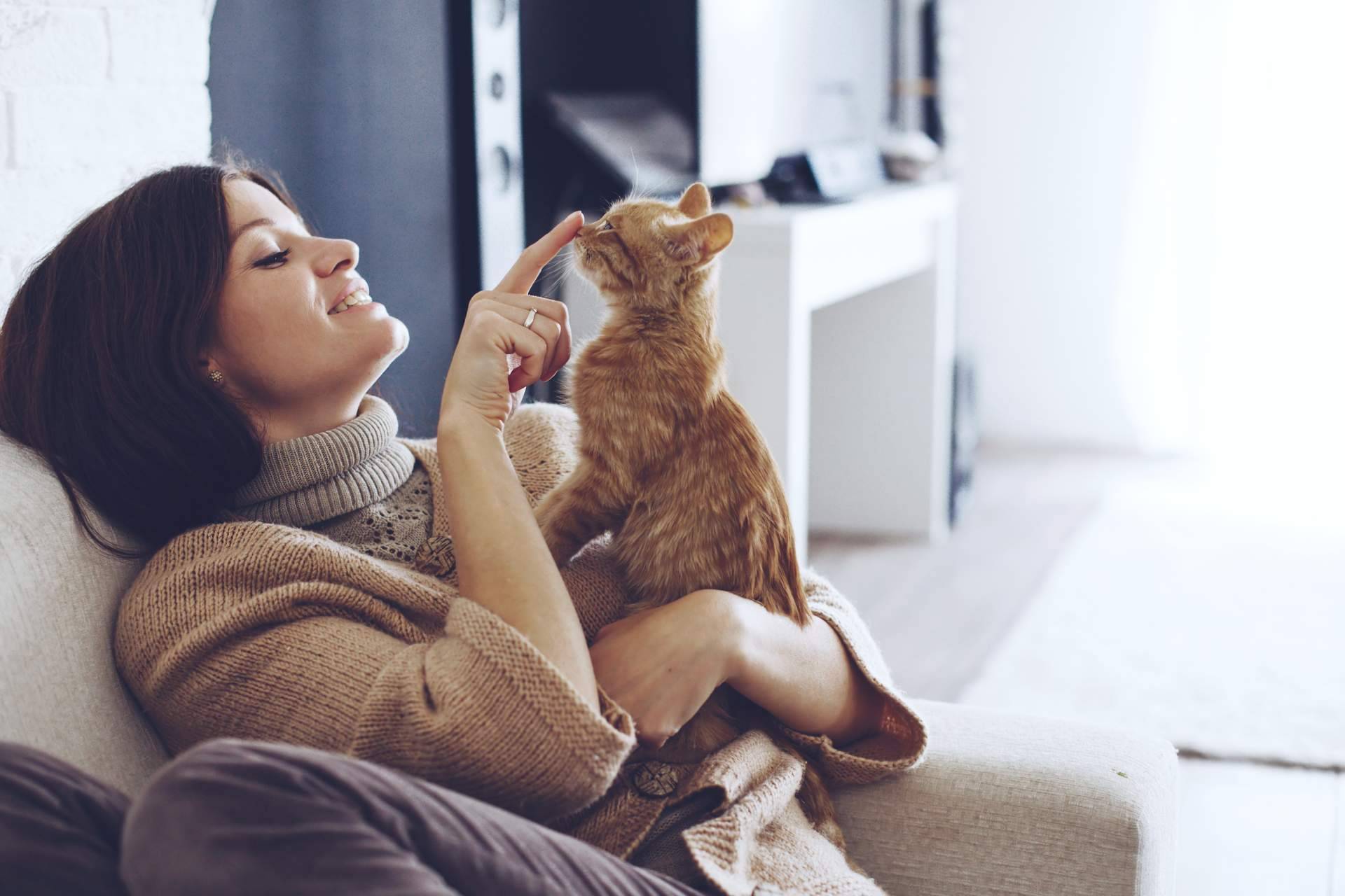 La tienda de productos para mascotas Can Xana presenta su nueva página web