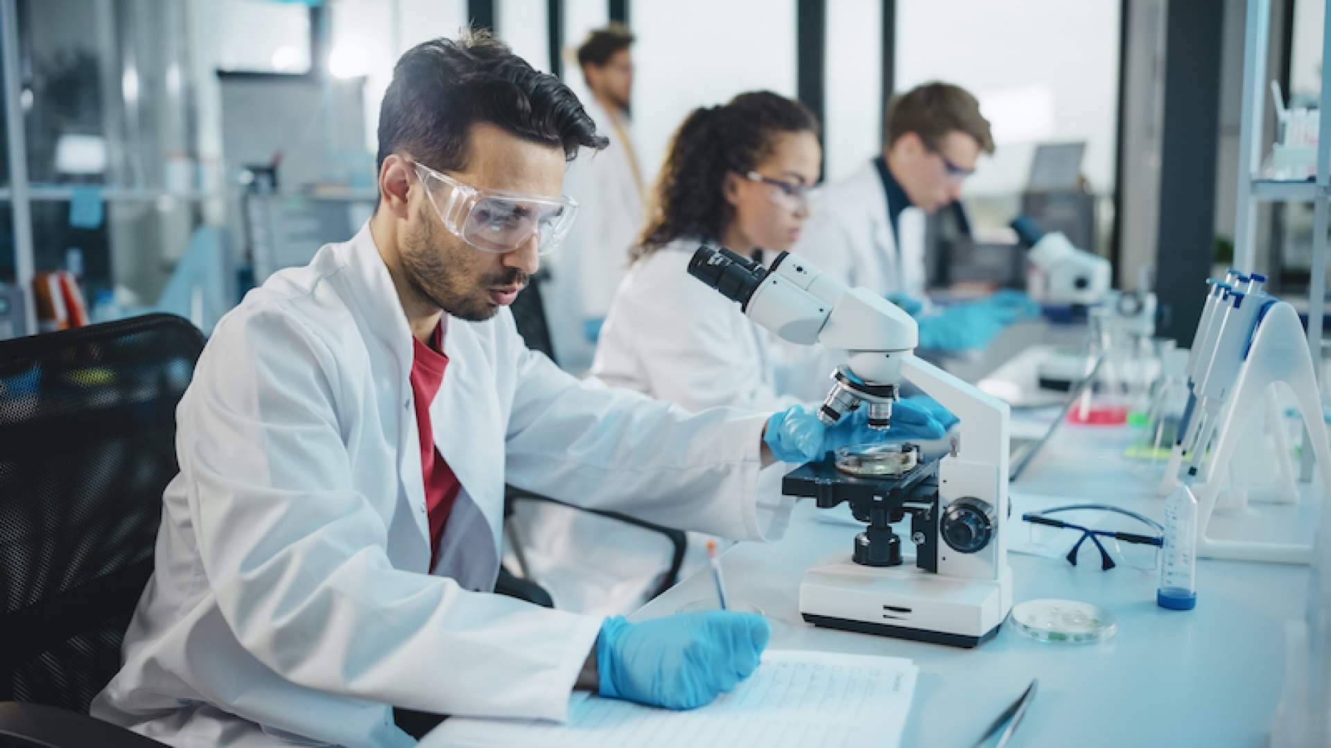 El sello edUPV en la Ciencia Abierta