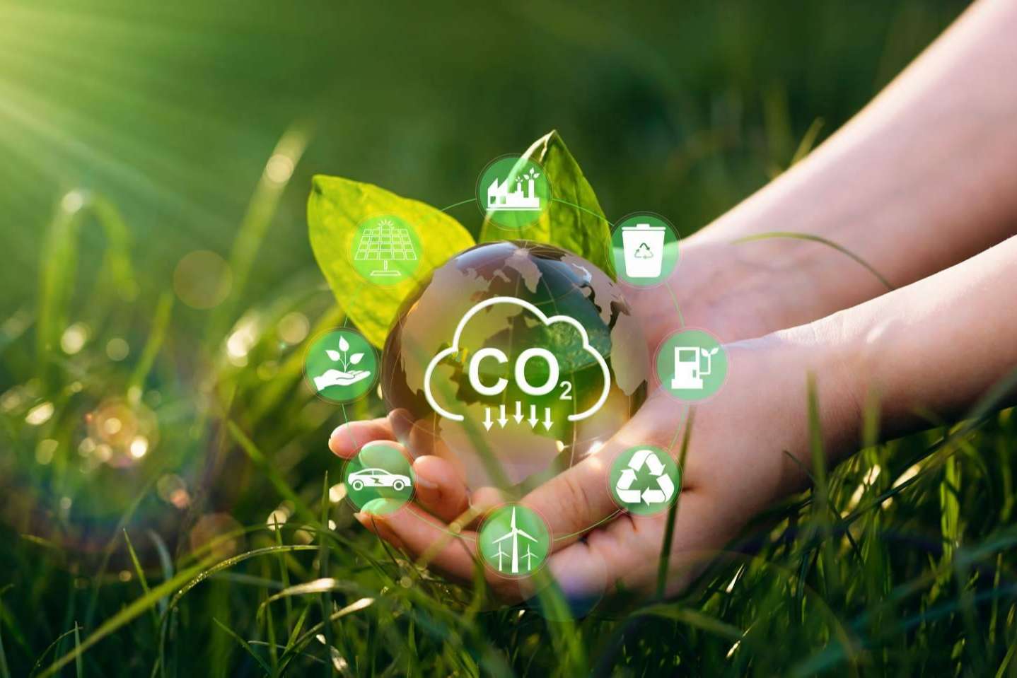 ¿Cómo reducir la huella de carbono en las empresas con plataformas como ESGeo?