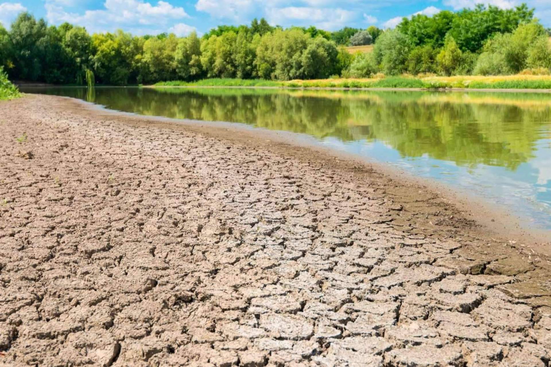 Pluvial ofrece soluciones sostenibles en el ámbito de la gestión del agua