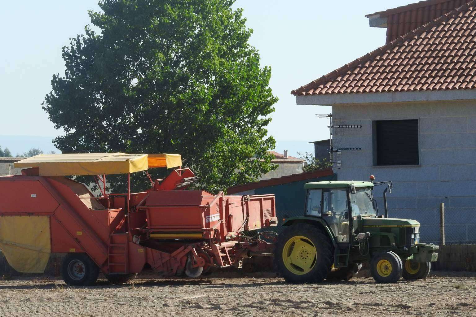 Patatas gallegas producidas y distribuidas por Patatas Yago