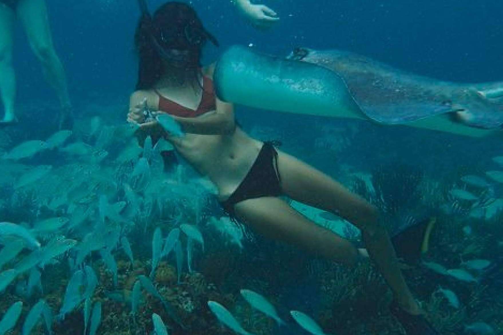 Visitar las playas de las Islas Caimán de la mano de Cayman Ocean Adventures